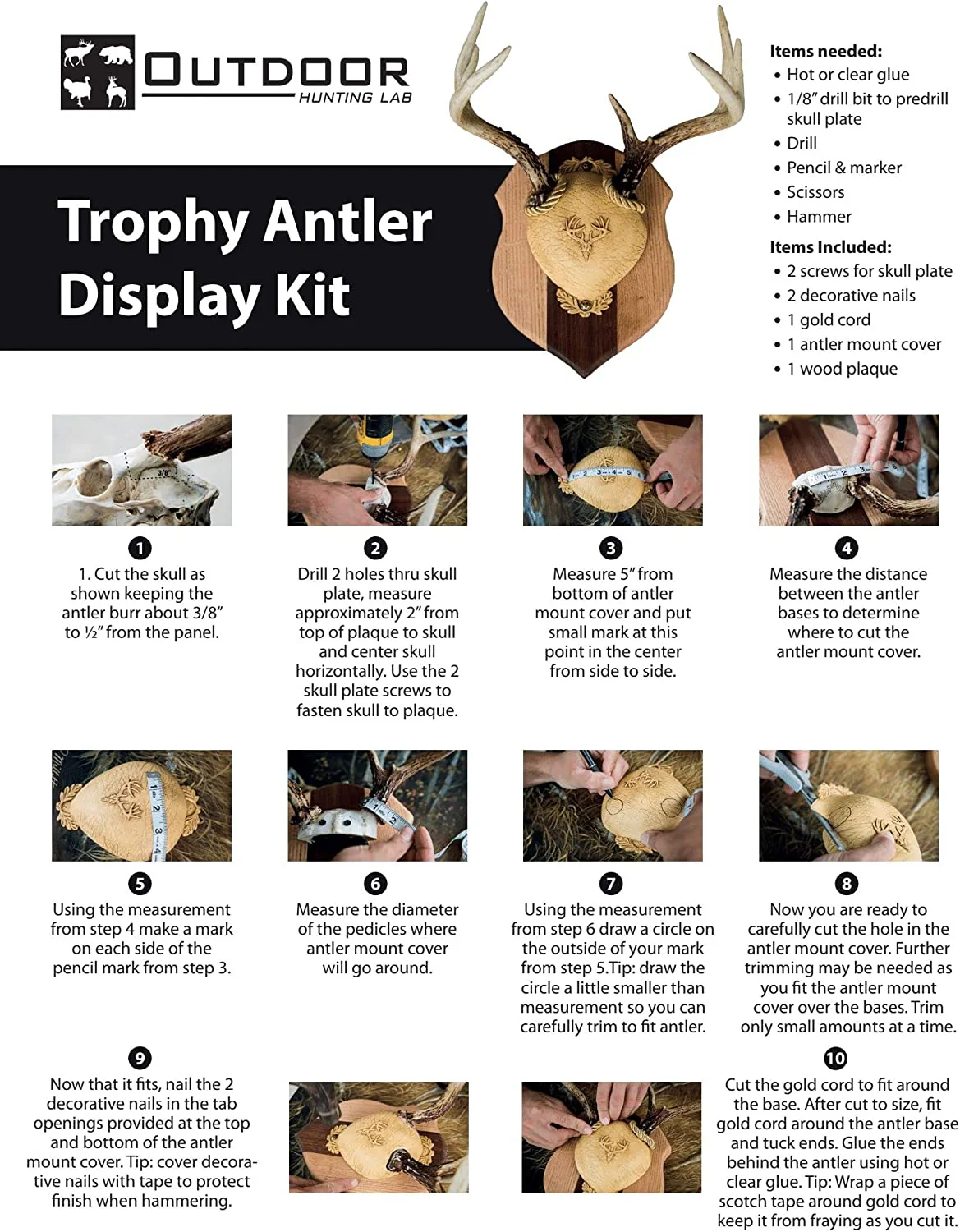 Antler Plaques - Image 5