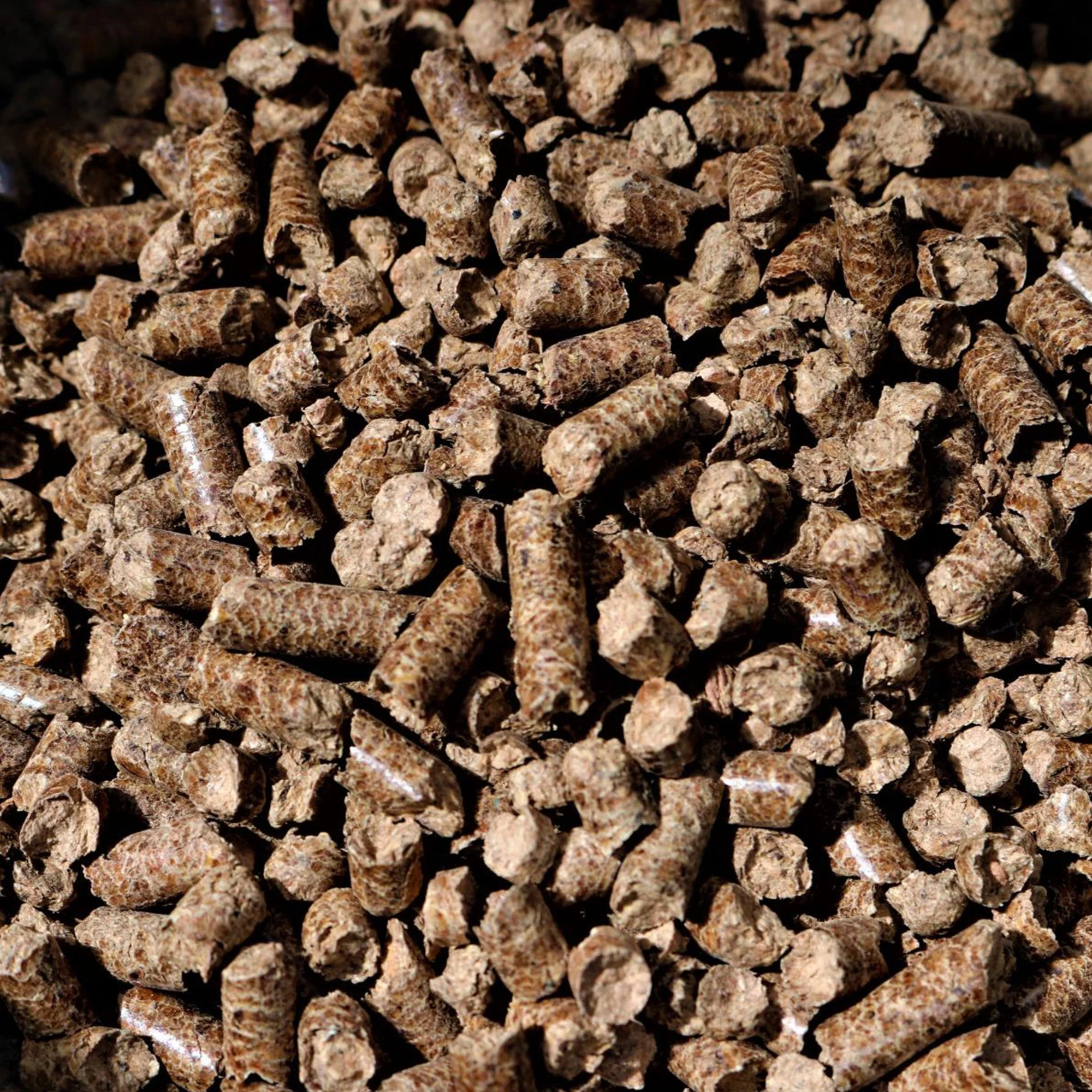 Bear Mountain 100 Percent Natural Alder Sweet Flavor Pellets, 20 Pounds (2 Pack) - Image 5