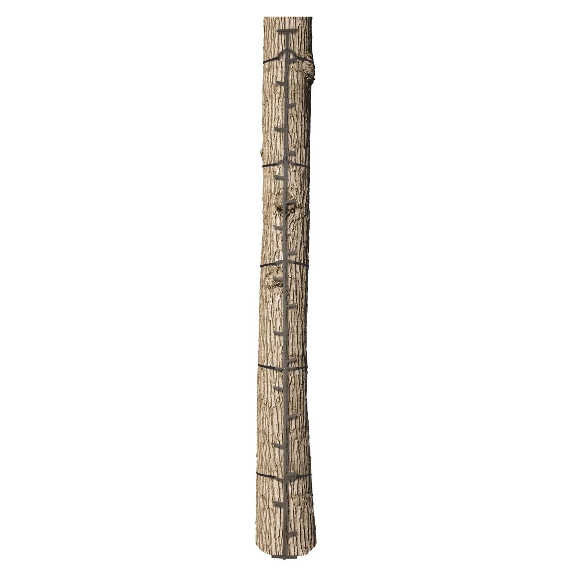 Big Game Hunting Quick Stick Steel Ladder Tree Climbing System, 20 Foot (2 Pack) - Image 9
