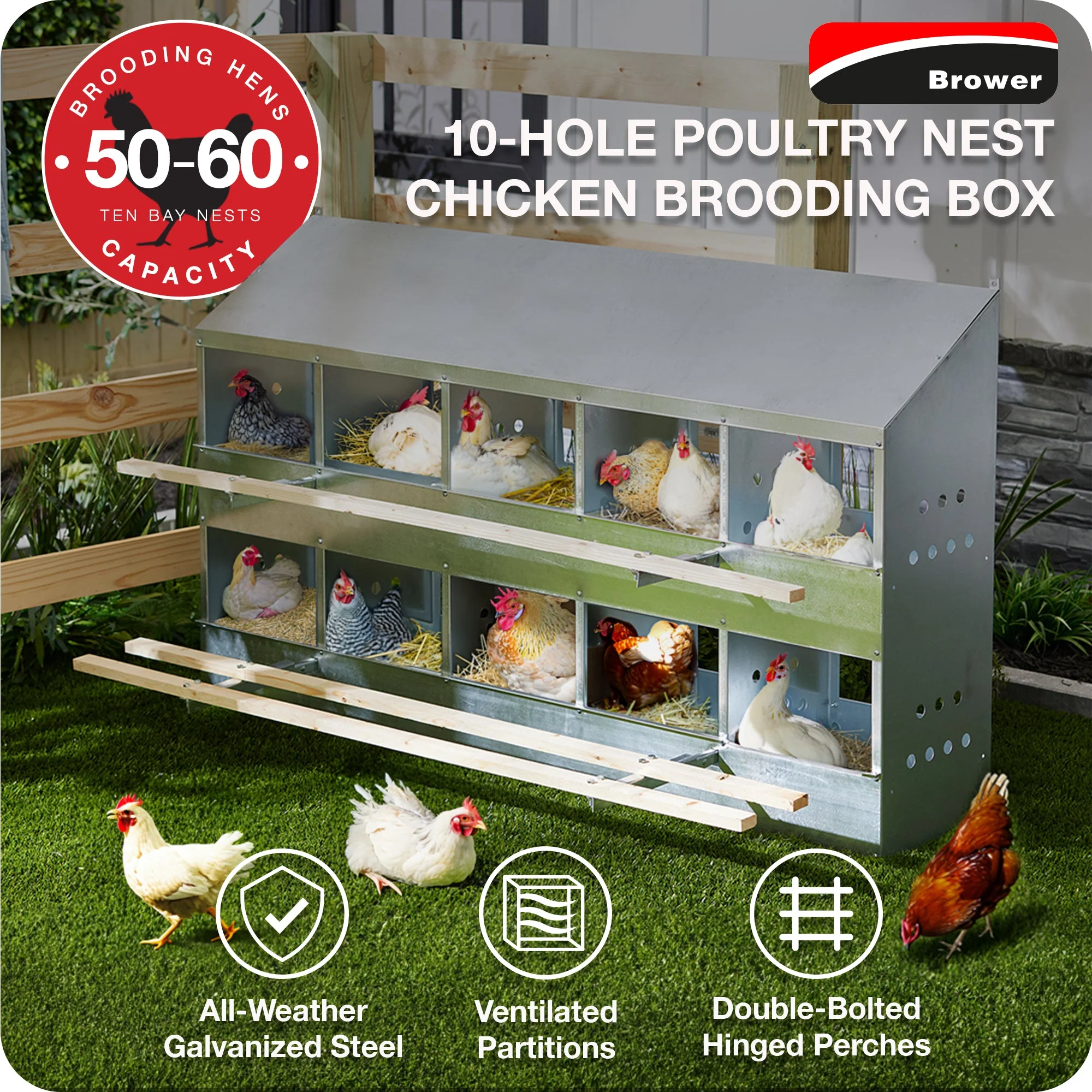 Brower 410B Galvanized Steel 10 Hole 50 Bird Poultry Nest Chicken Brooding Box - Image 2