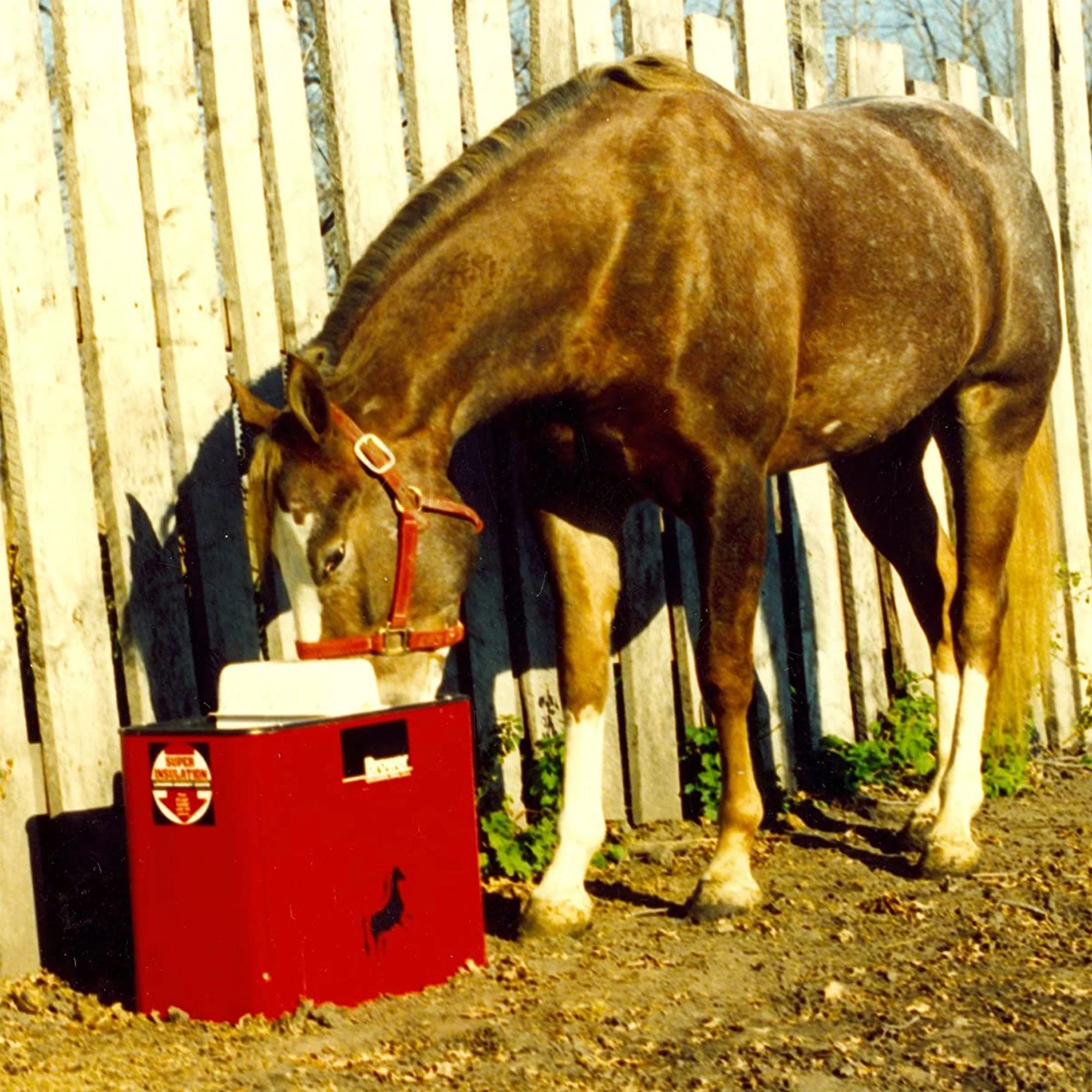 Brower MK32E 18 Inch Insulated Steel Electric Heated Livestock Waterer, Red - Image 4