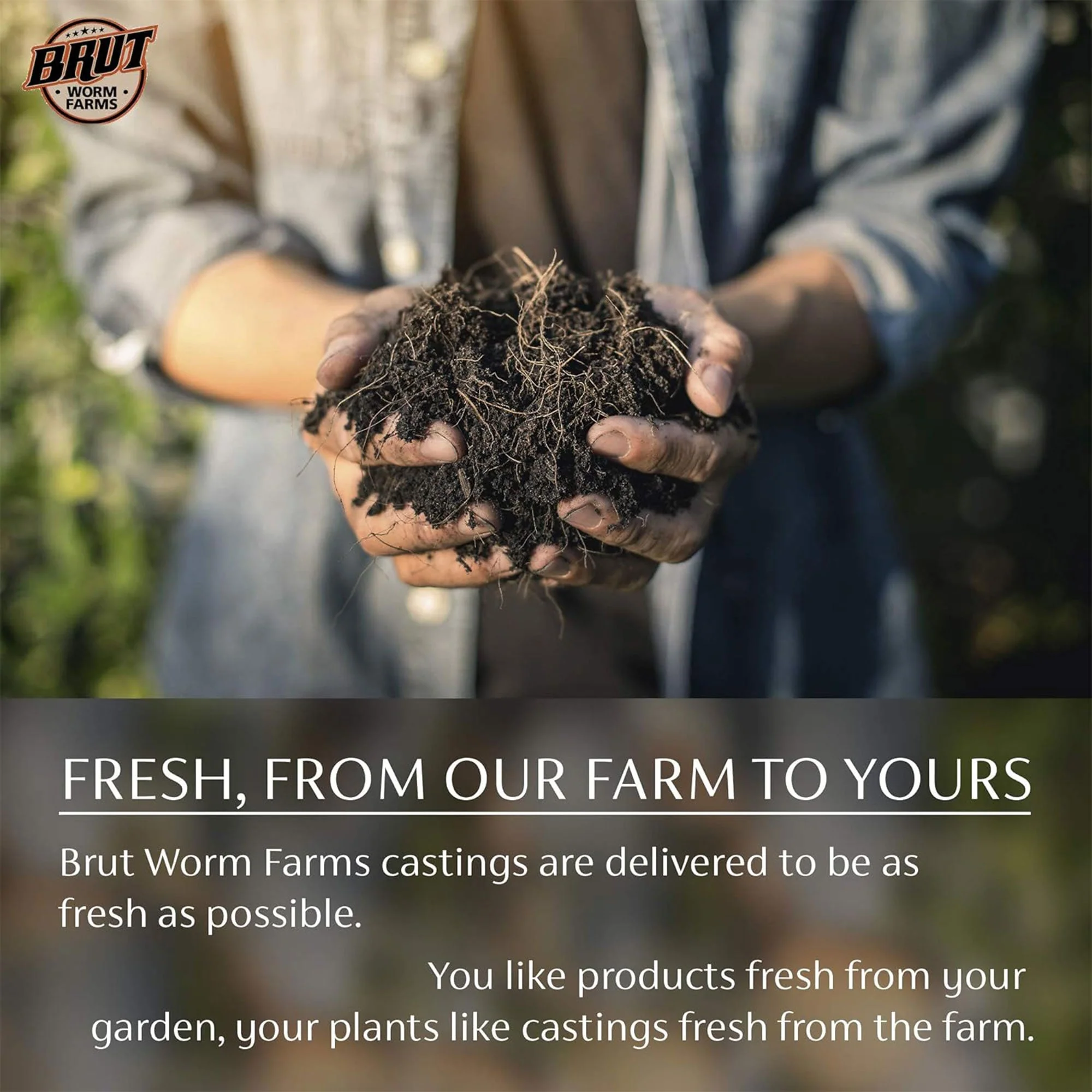 Brut Organic Chicken Compost Nutrient-Rich Garden Fertilizer for Farm (4 Pack) - Image 3