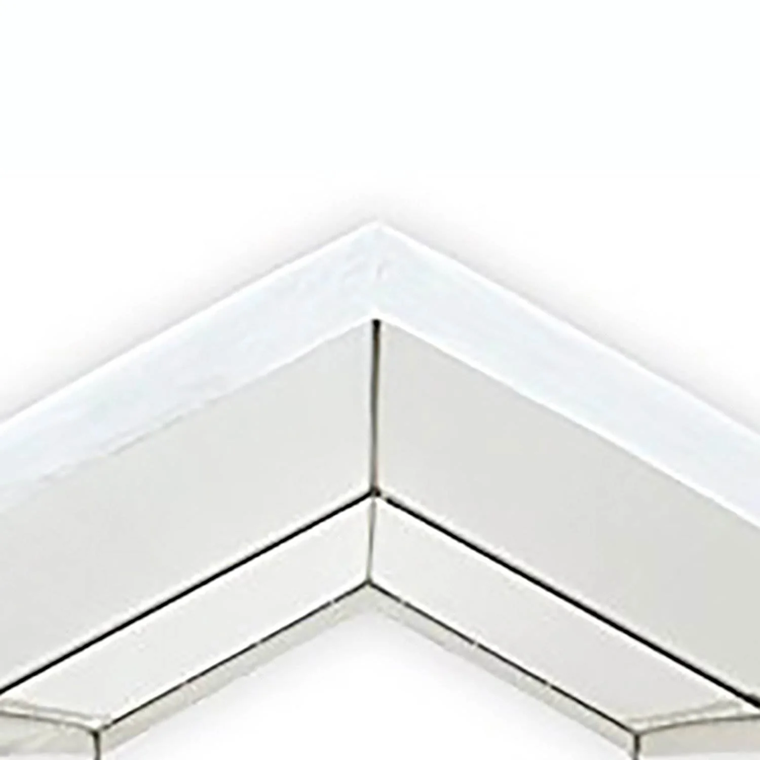 Caravan Canopy Domain 10' x 20' Straight Leg Canopy Tent Set, Sidewalls Only - Image 10