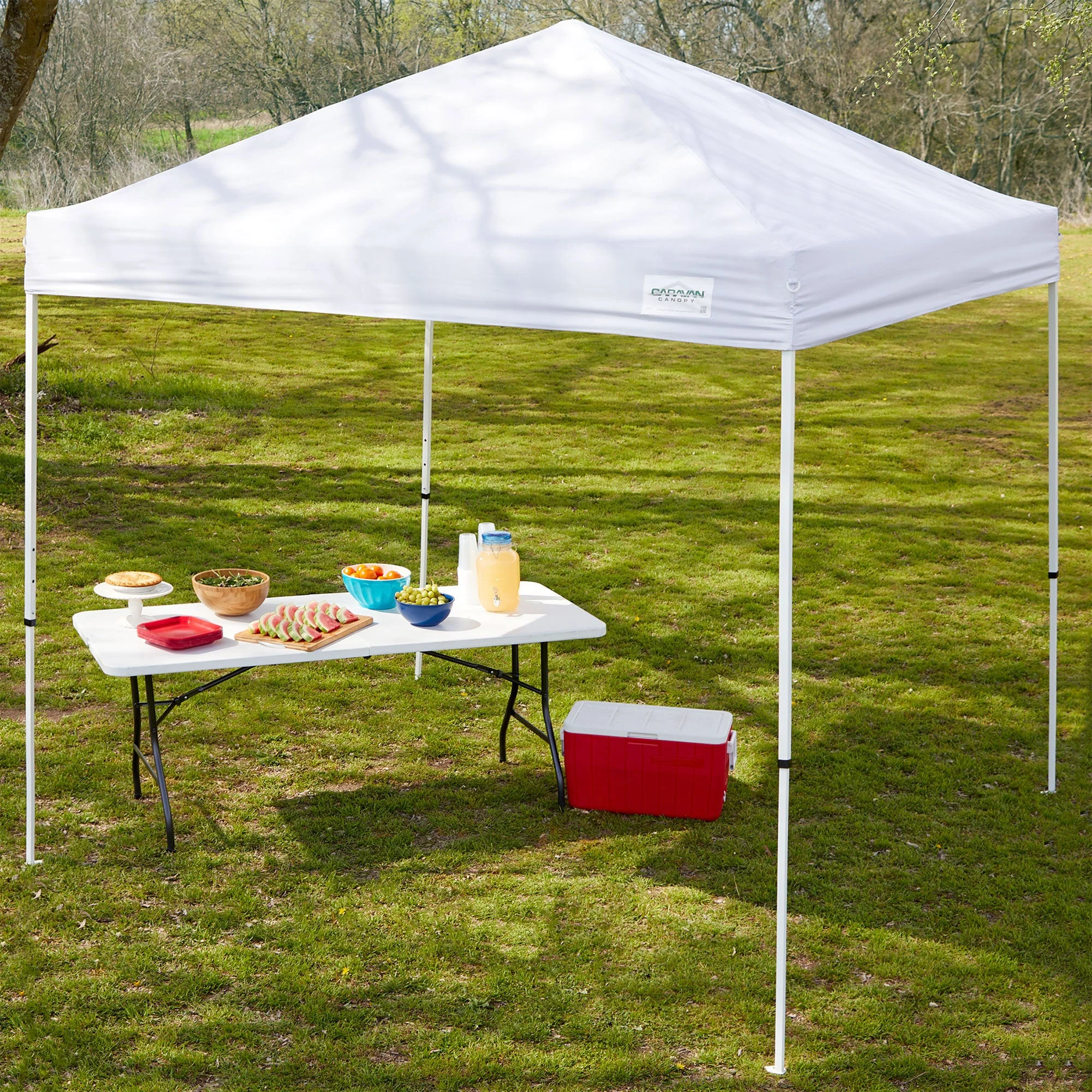 Caravan Canopy V Series Sidewall Kit & M Series Pro 2 Shade Tent w/Roller Bag - Image 4