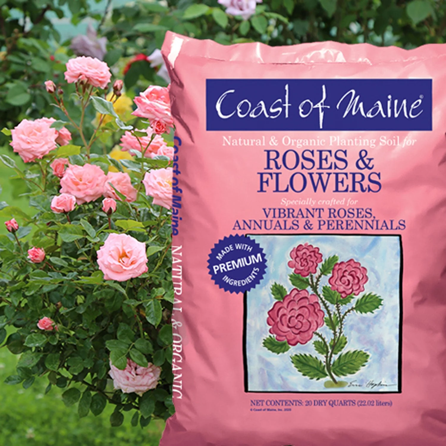 Coast of Maine Organic Potting Soil for Roses and Flowers, 20 Quart Bag (6 Pack) - Image 3