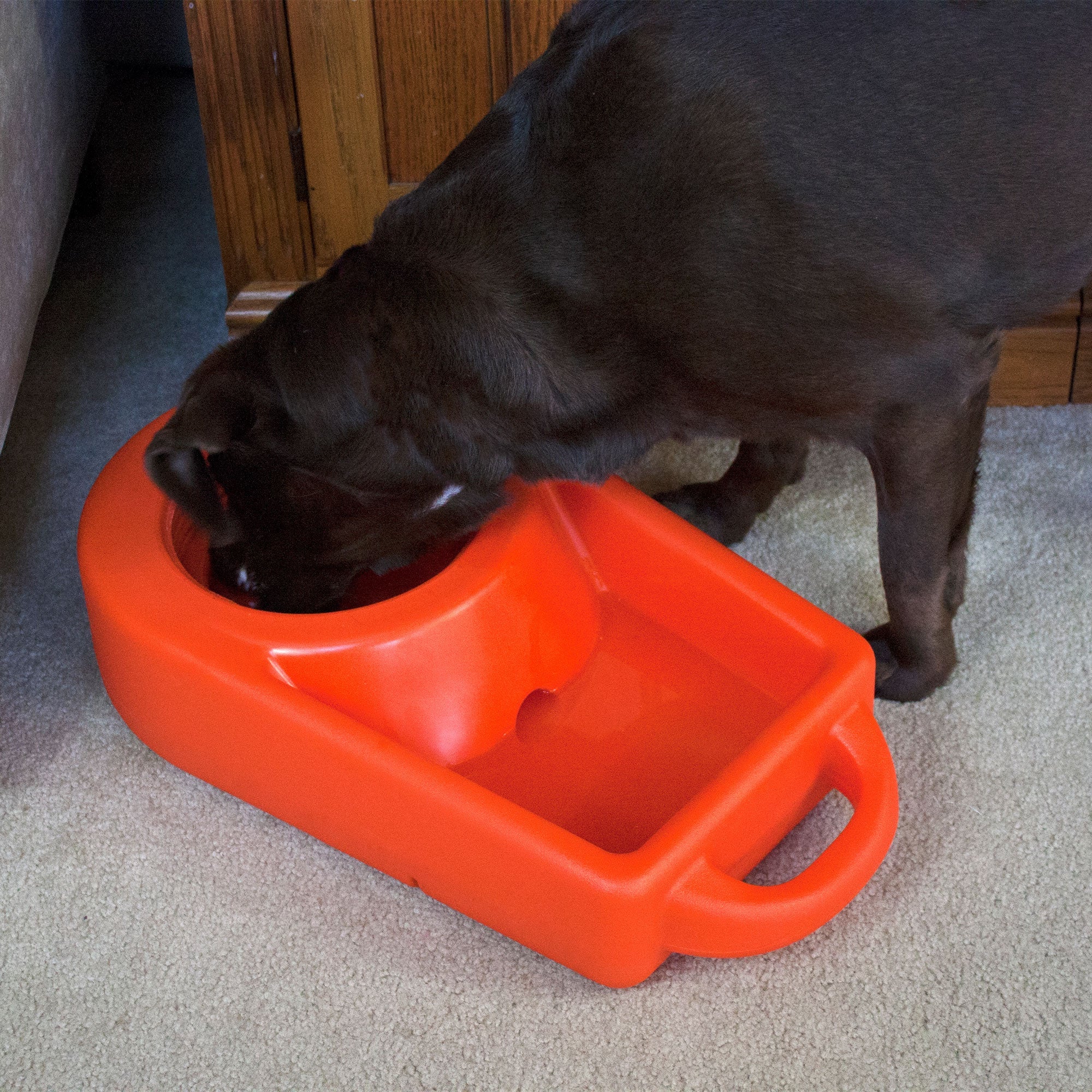 Dakota 283 Dine N Dash Large Pets Feeding and Watering System with Lid, Orange - Image 8