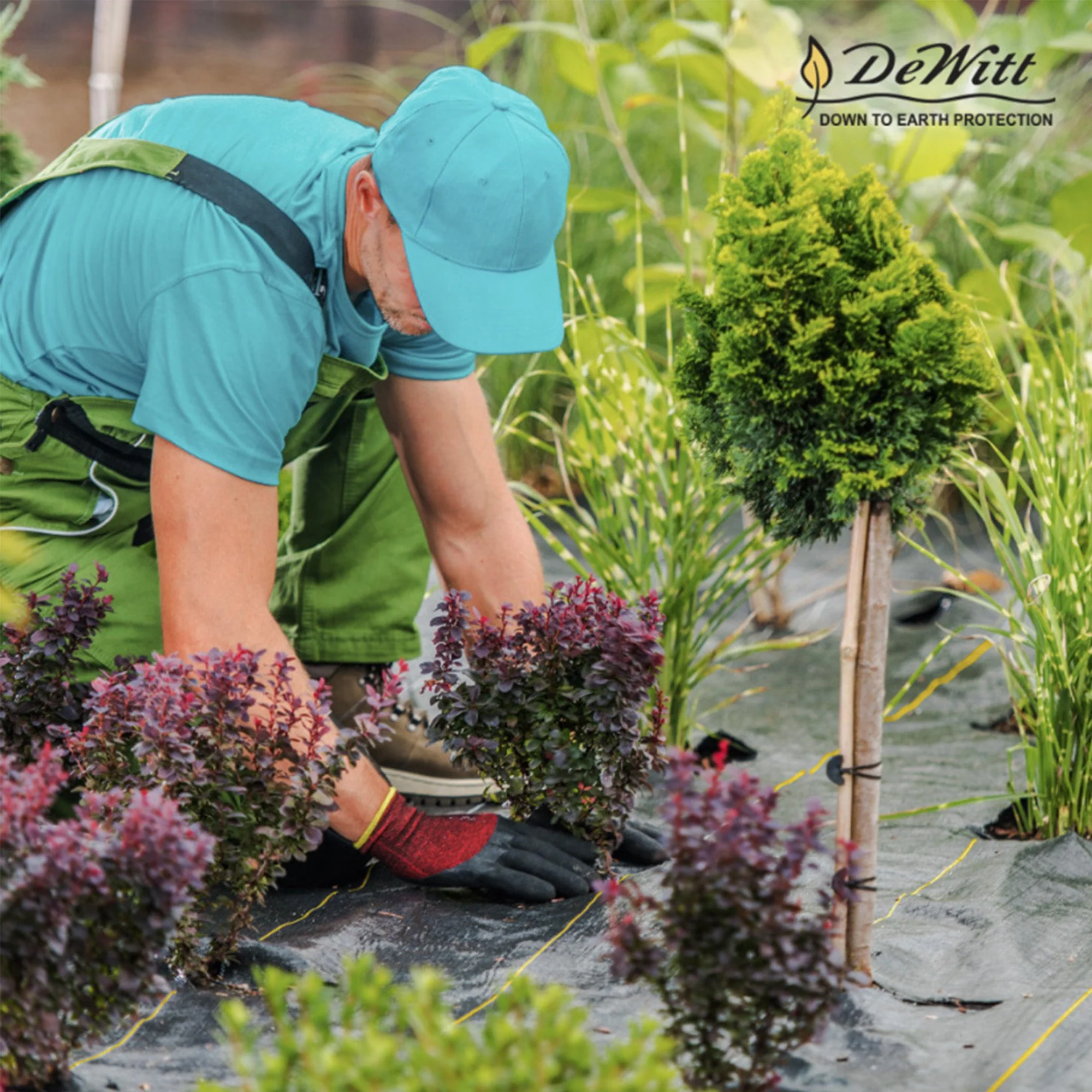 DeWitt P6 Pro 5 Commercial Landscape 5-Oz Weed Barrier Fabric, 6 x 250' (4 Pack) - Image 8