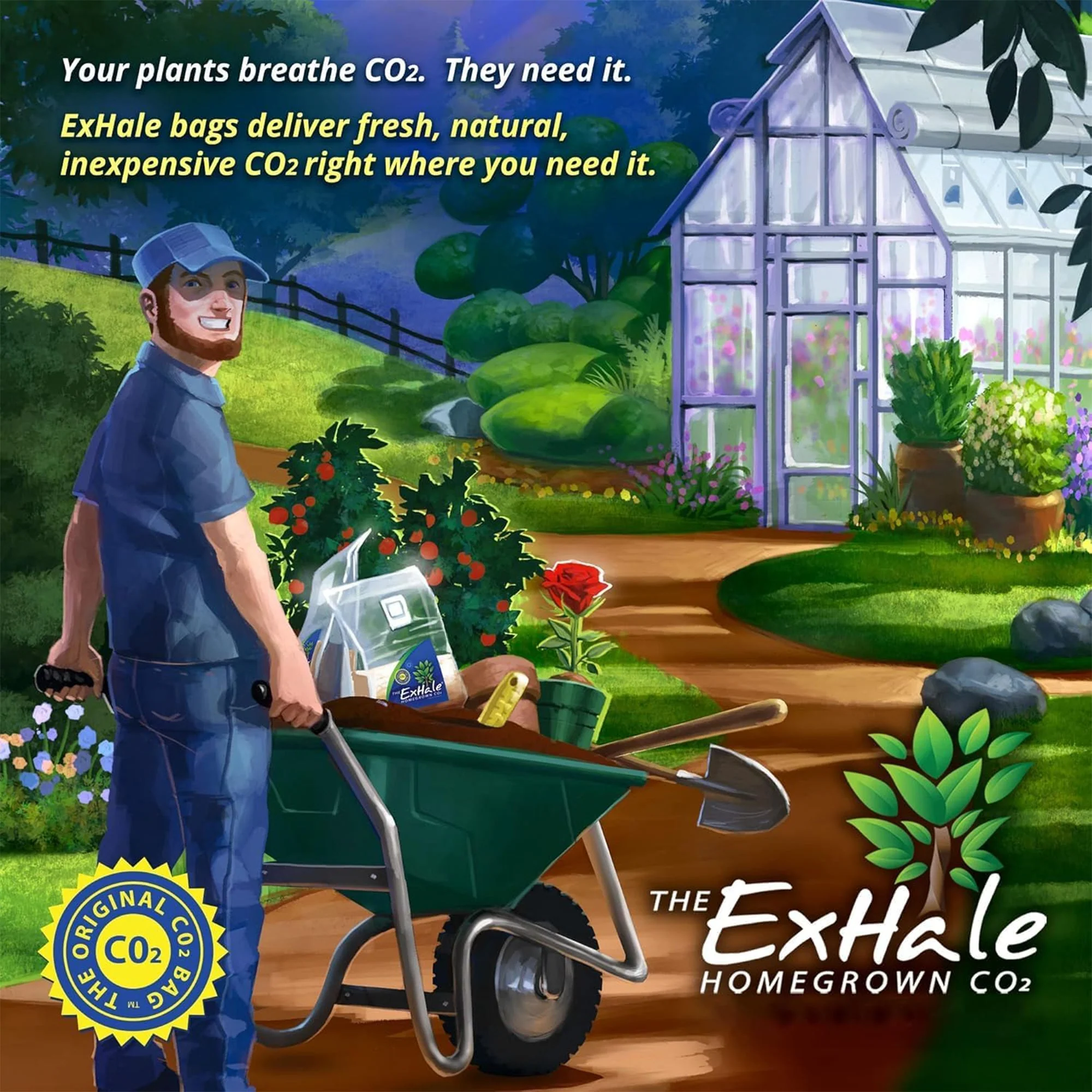 ExHale XL EX50002 Self Activated 6 Month 288 Cubic Foot Gardening CO2 Grow Bag - Image 4