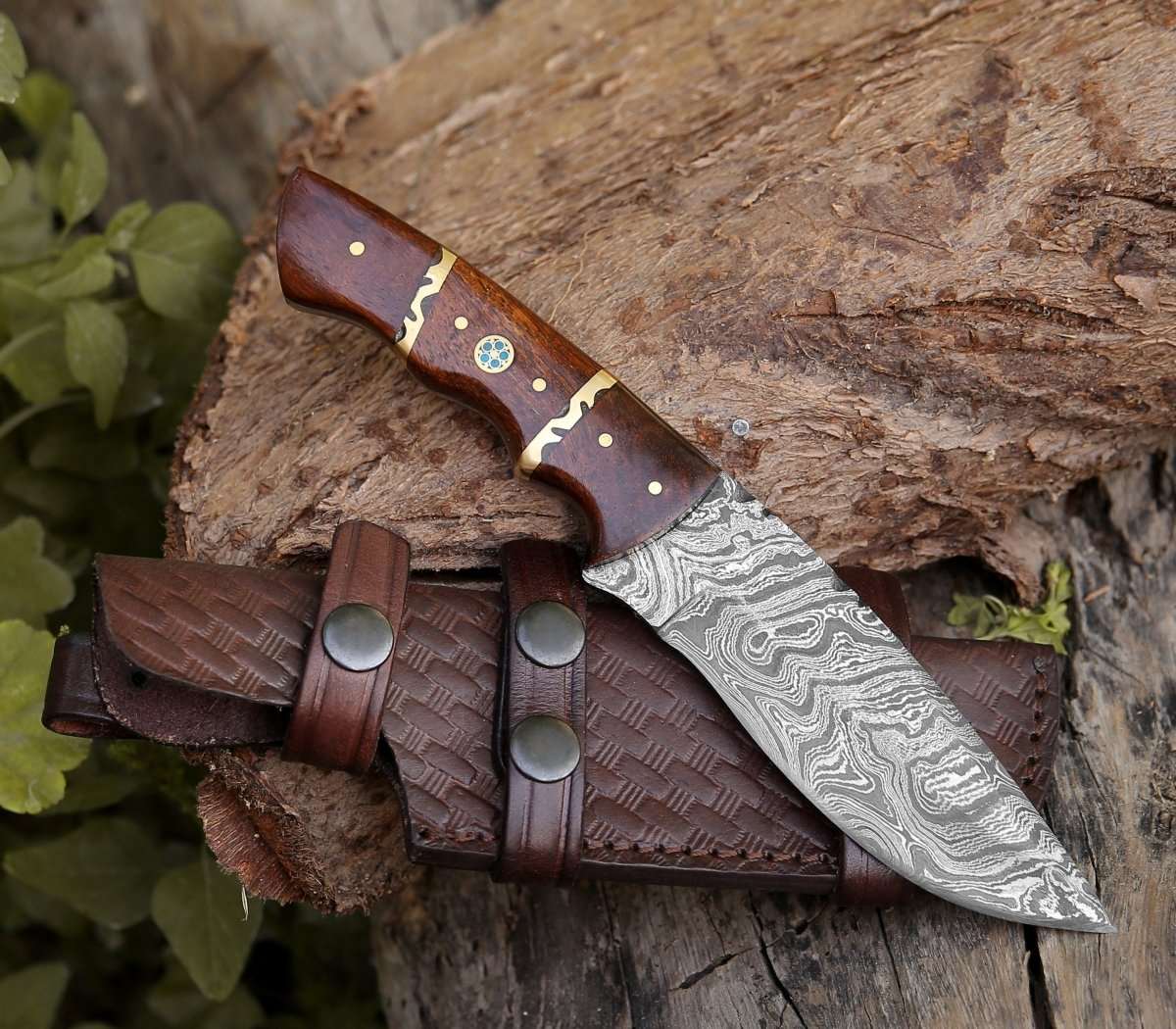 Fang Damascus Camp Knife with Rose Wood Handle - Image 3