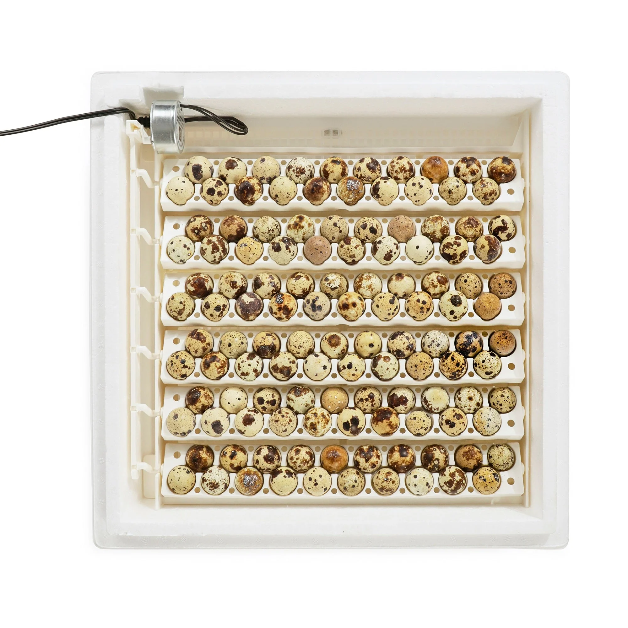 Farm Innovators 3400 Replacement Tray Rail for 120 Quail and Small Eggs (6 Pack) - Image 10