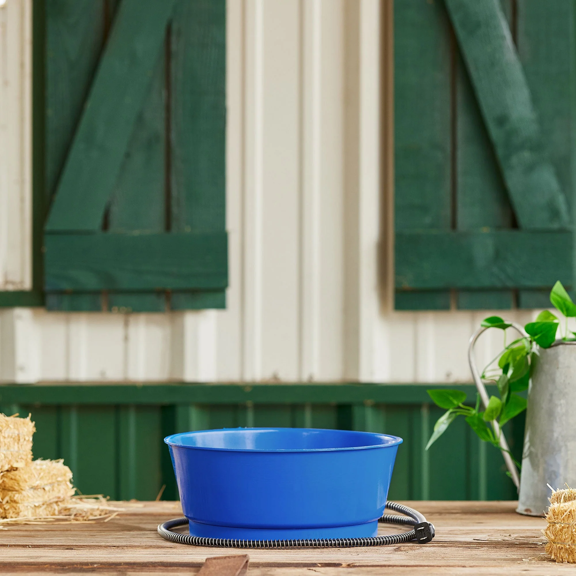 Farm Innovators 60 Watt 1.5 Gallon Electric Heated Pet Water Bowl, Blue (3 Pack) - Image 5