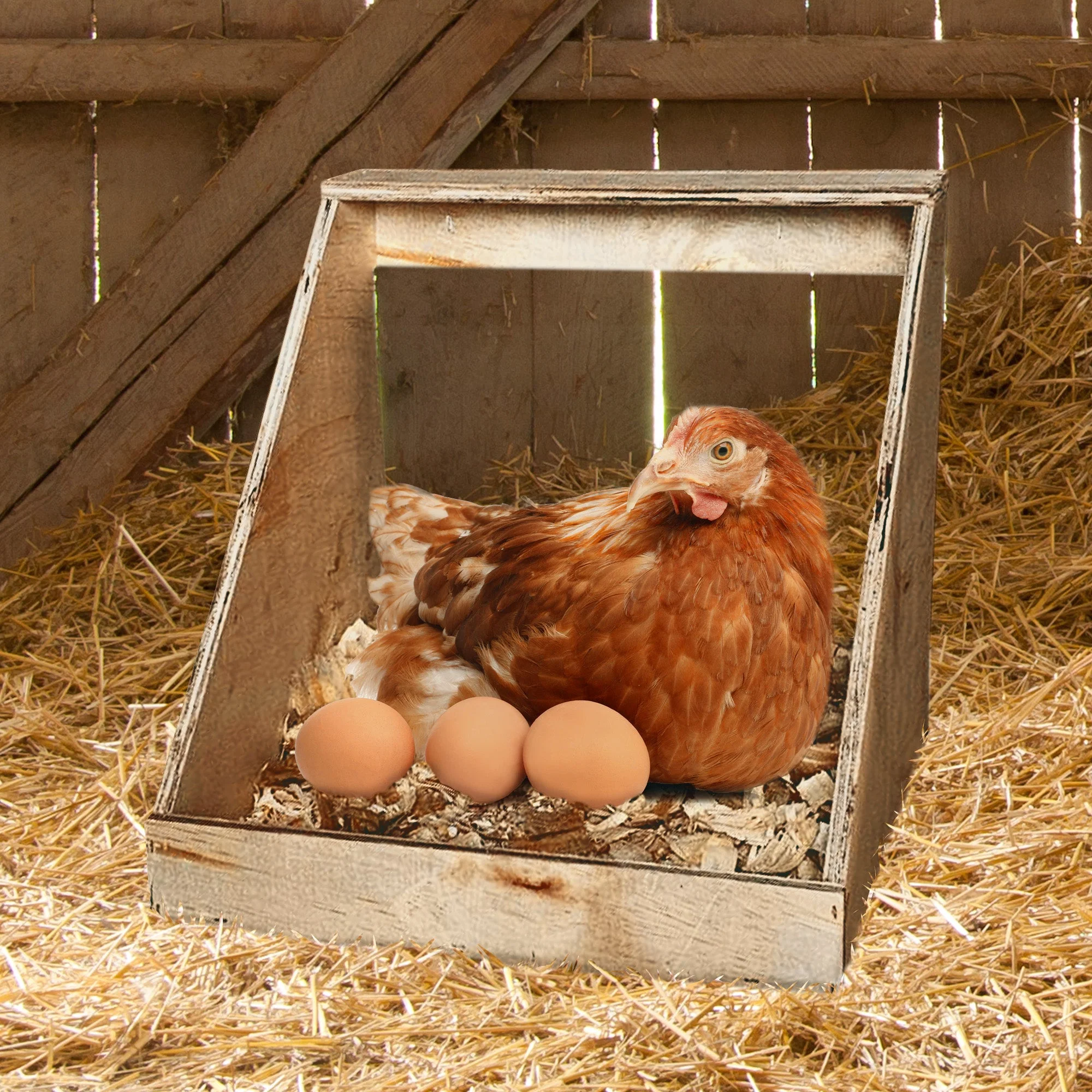 Farm Innovators Single Nesting Box for Chickens, Ducks and Birds, 3 Pack, Brown - Image 7