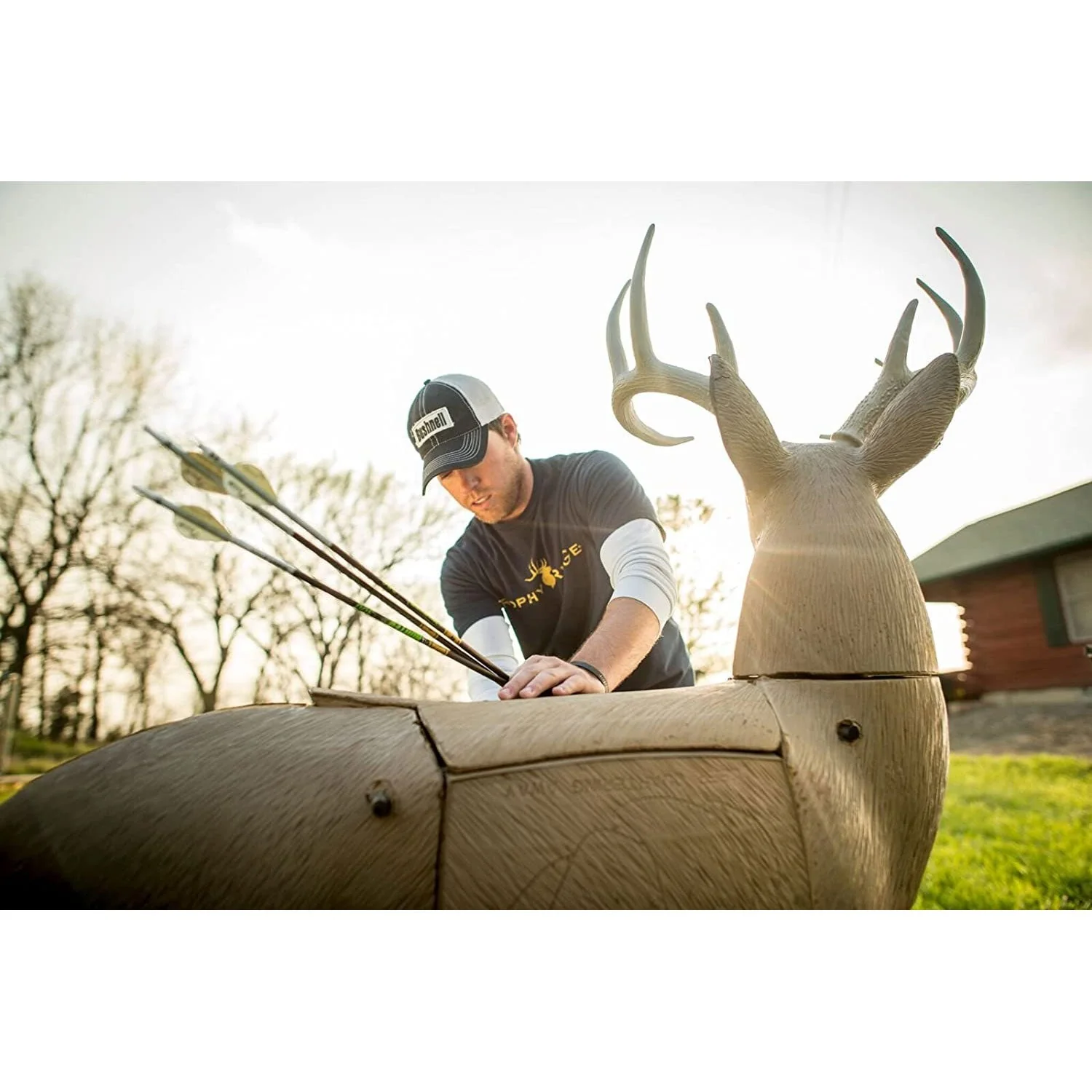 GlenDel 3D Archery Lifelike Pre Rut Buck Target with Replaceable Vitals Insert - Image 5