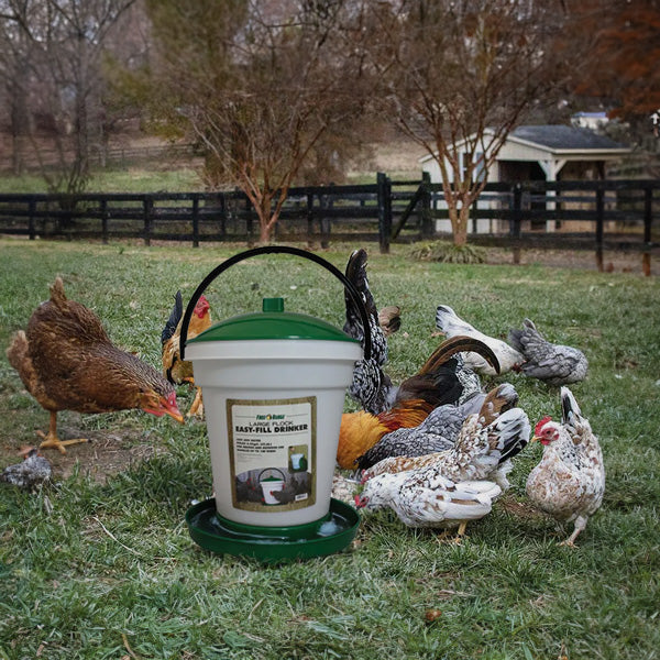Harris Farms Poultry Drinker with Top Lid and Carrying Handle for Any Size Flock - Image 4