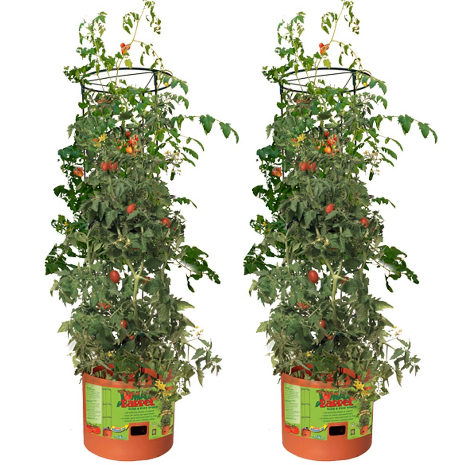Hydrofarm GCTB Tomato Barrel Pot Garden Planting 4 Foot Trellis System (2 Pack) - Image 4
