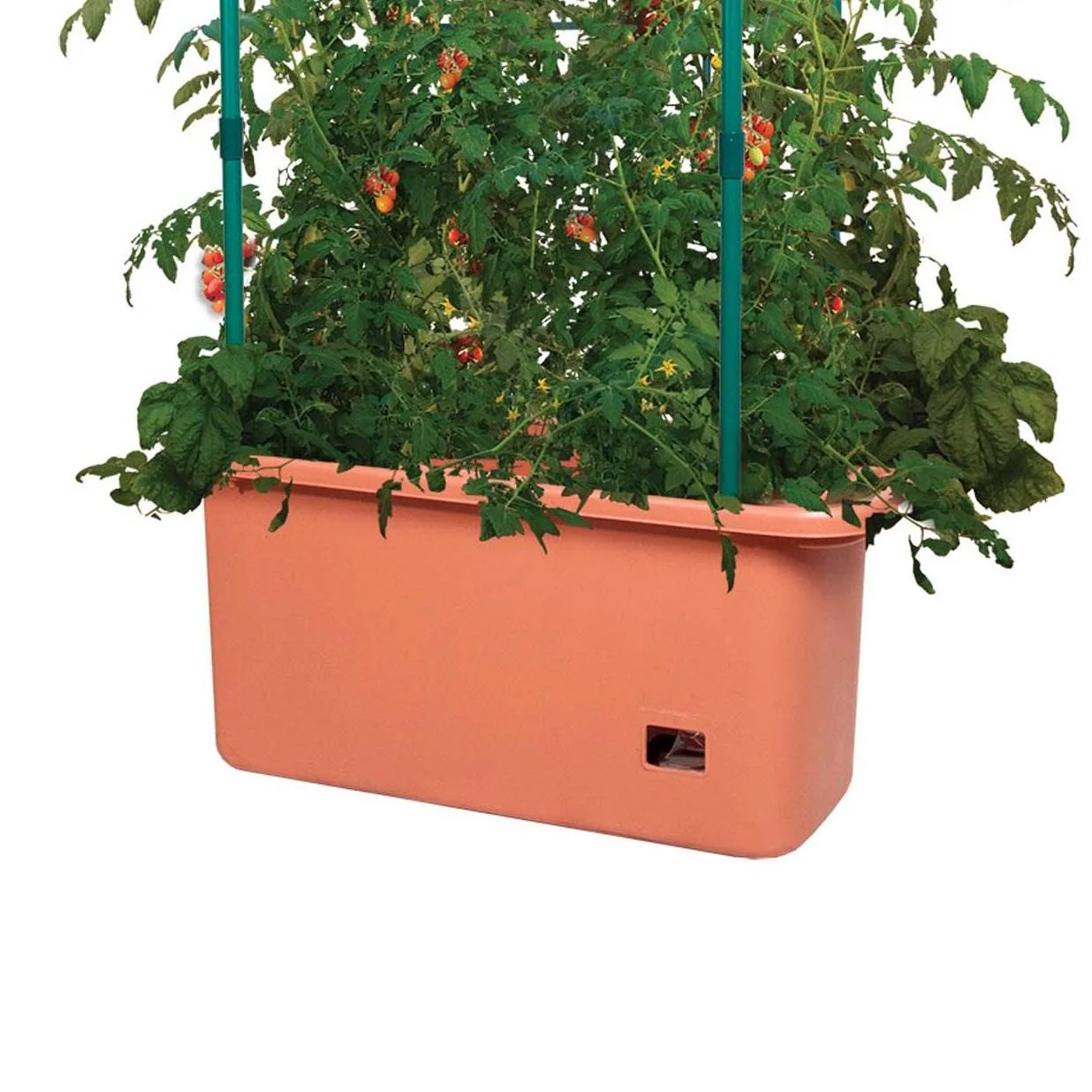 Hydrofarm GCTR 10 Gal Tomato Garden Planting System & 4' Trellis Tower on Wheels - Image 3
