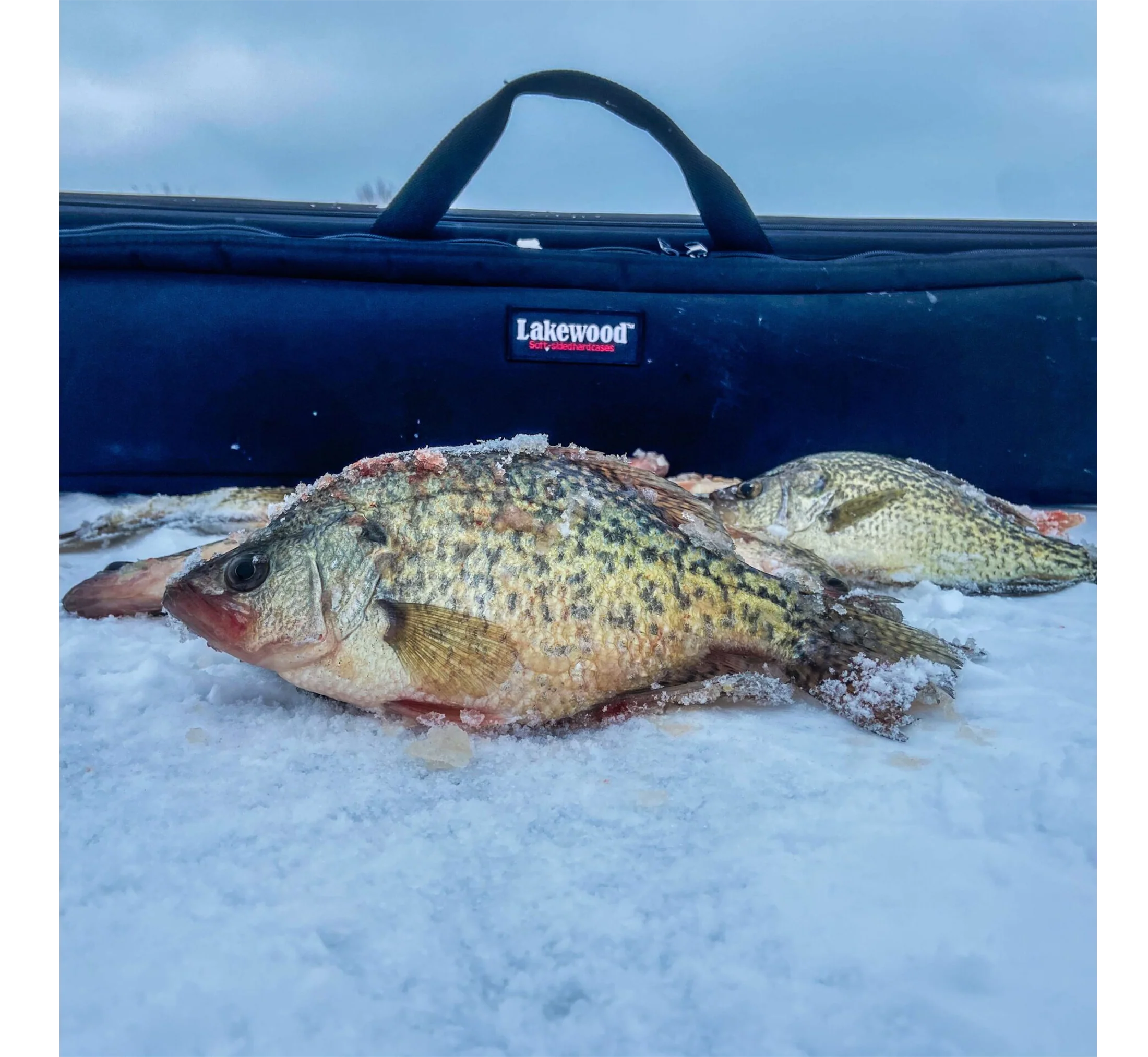 Ice Rod Caddy - 3 Sizes Available! - Image 5