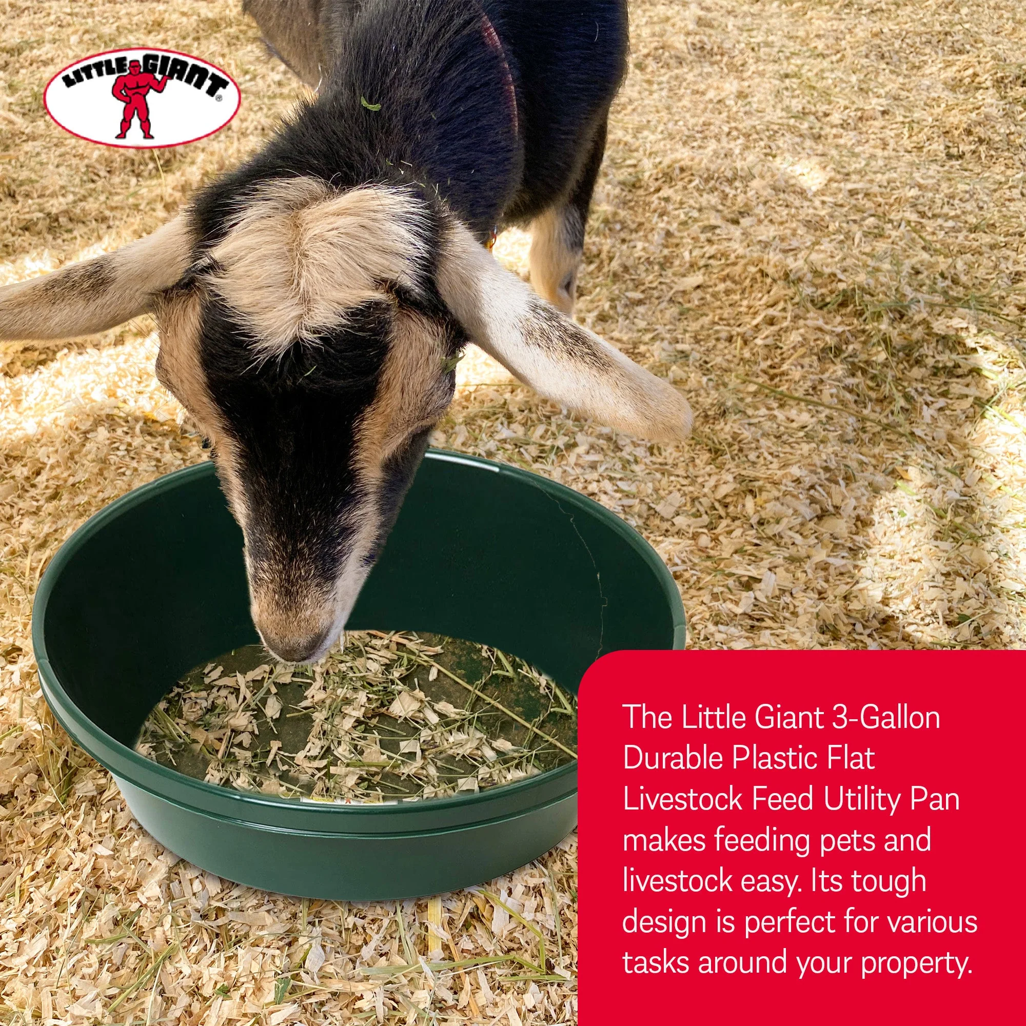 Little Giant 3 Gal Durable Flat Farm Livestock Feed Utility Pan, Green (12 Pack) - Image 6