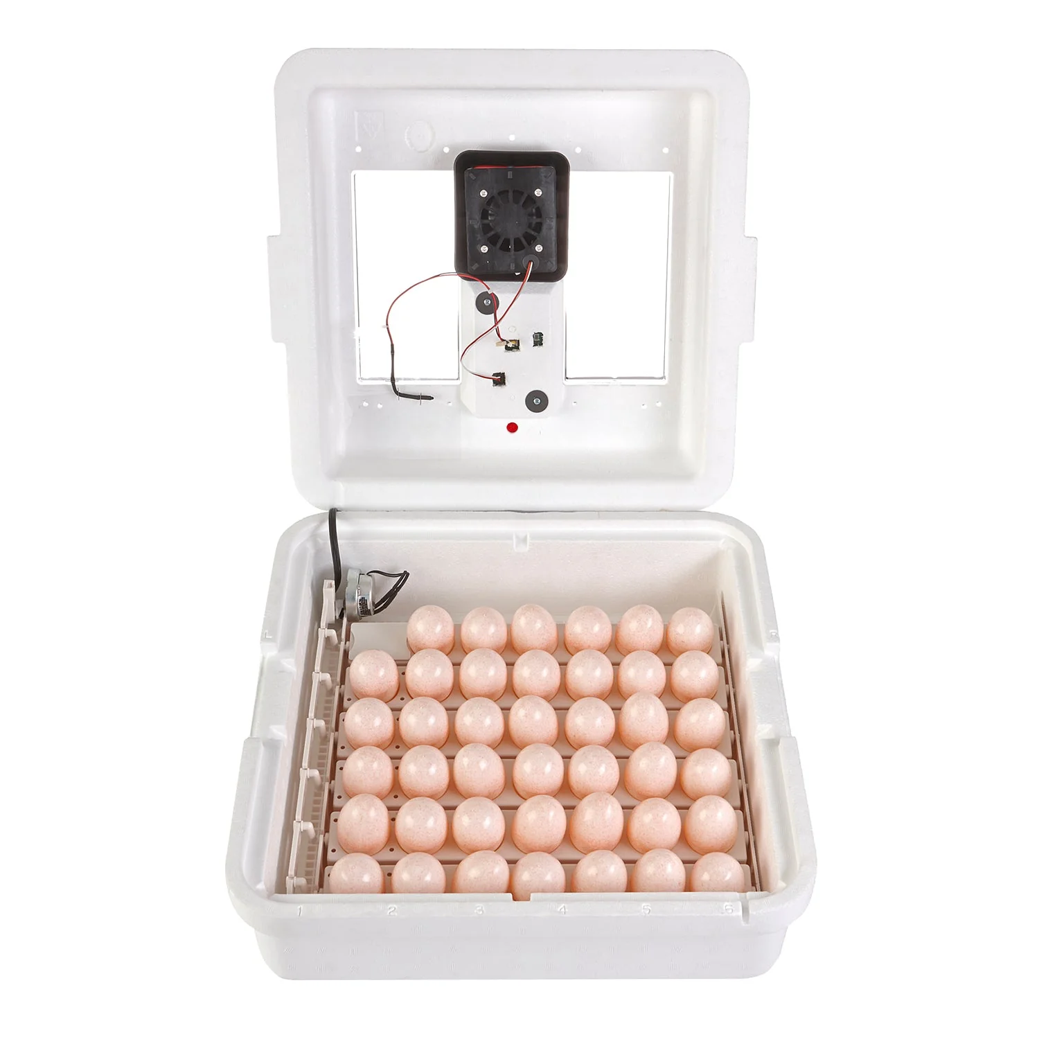 Little Giant 9300 Digital Still Air Incubator w/ LCD Display for 41 Eggs, White - Image 2