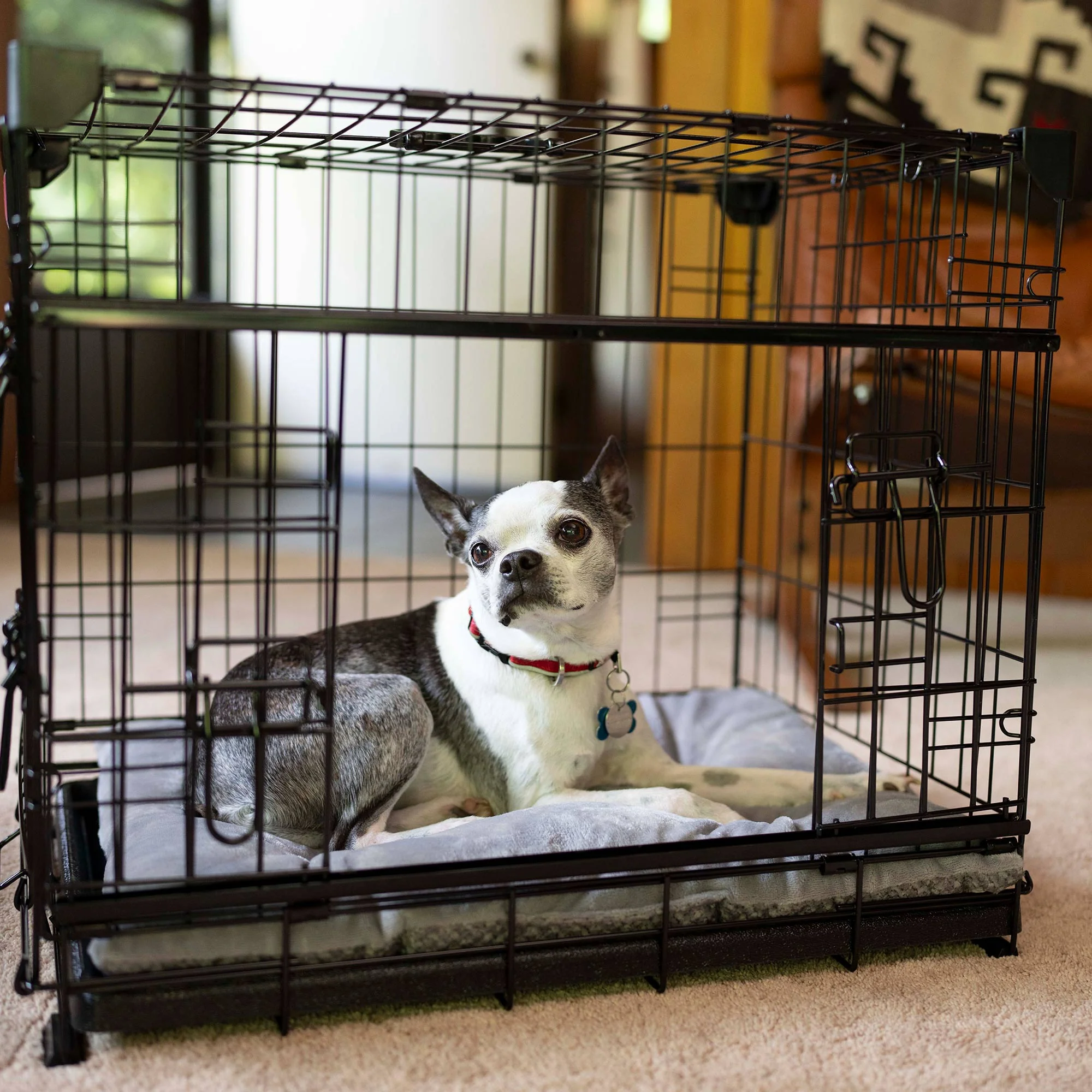 Lucky Dog Dwell Series 24 Inch Small Kennel Secure Fenced Pet Dog Crate, Black - Image 6