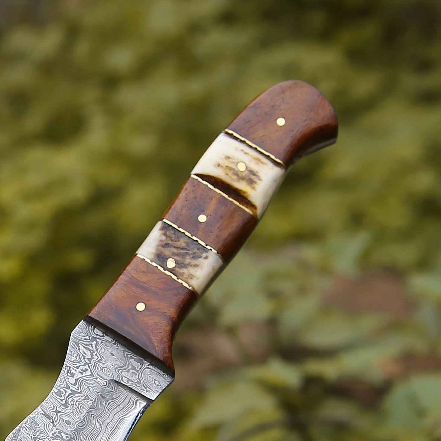 Mangler Damascus Hunting Knife with Rosewood & Stag Horn Handle - Image 4
