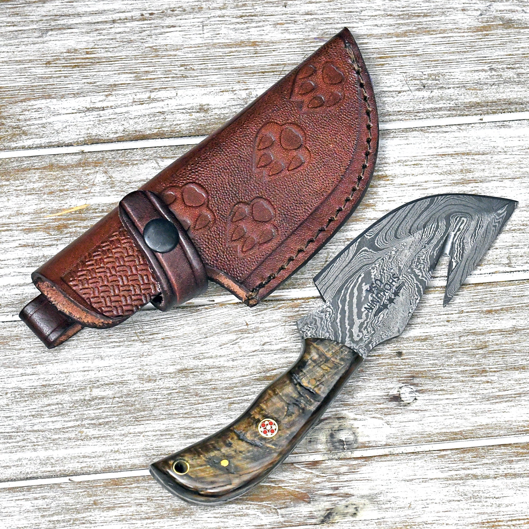 Master Gut Hook Knife with Ram Horn and Turquoise Handle - Image 3