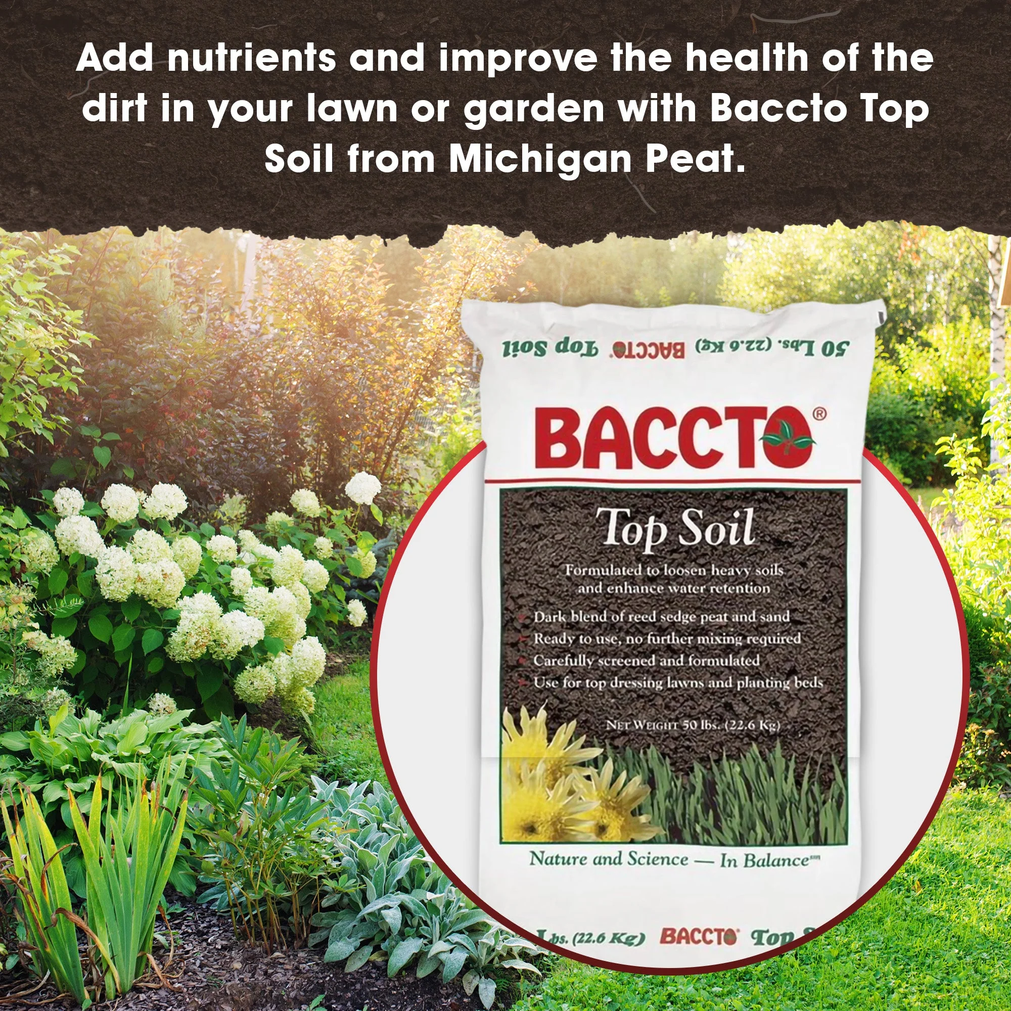 Michigan Peat Baccto Top Soil with Reed Sedge, Peat, and Sand, 50 Pounds, 1 Pack - Image 5