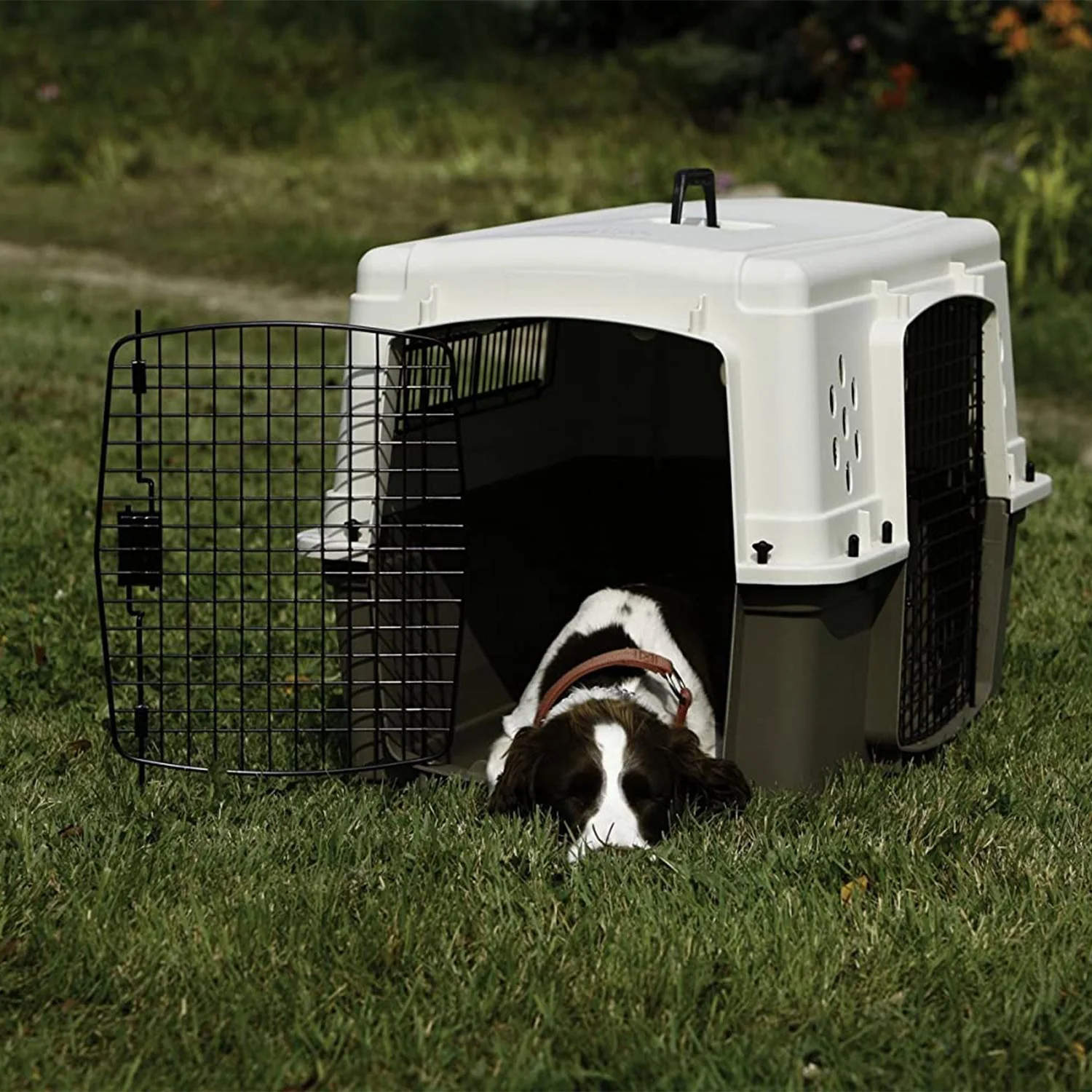 Miller Manufacturing Hard Sided Double Door Dog & Pet Travel Kennel Crate, Brown - Image 3