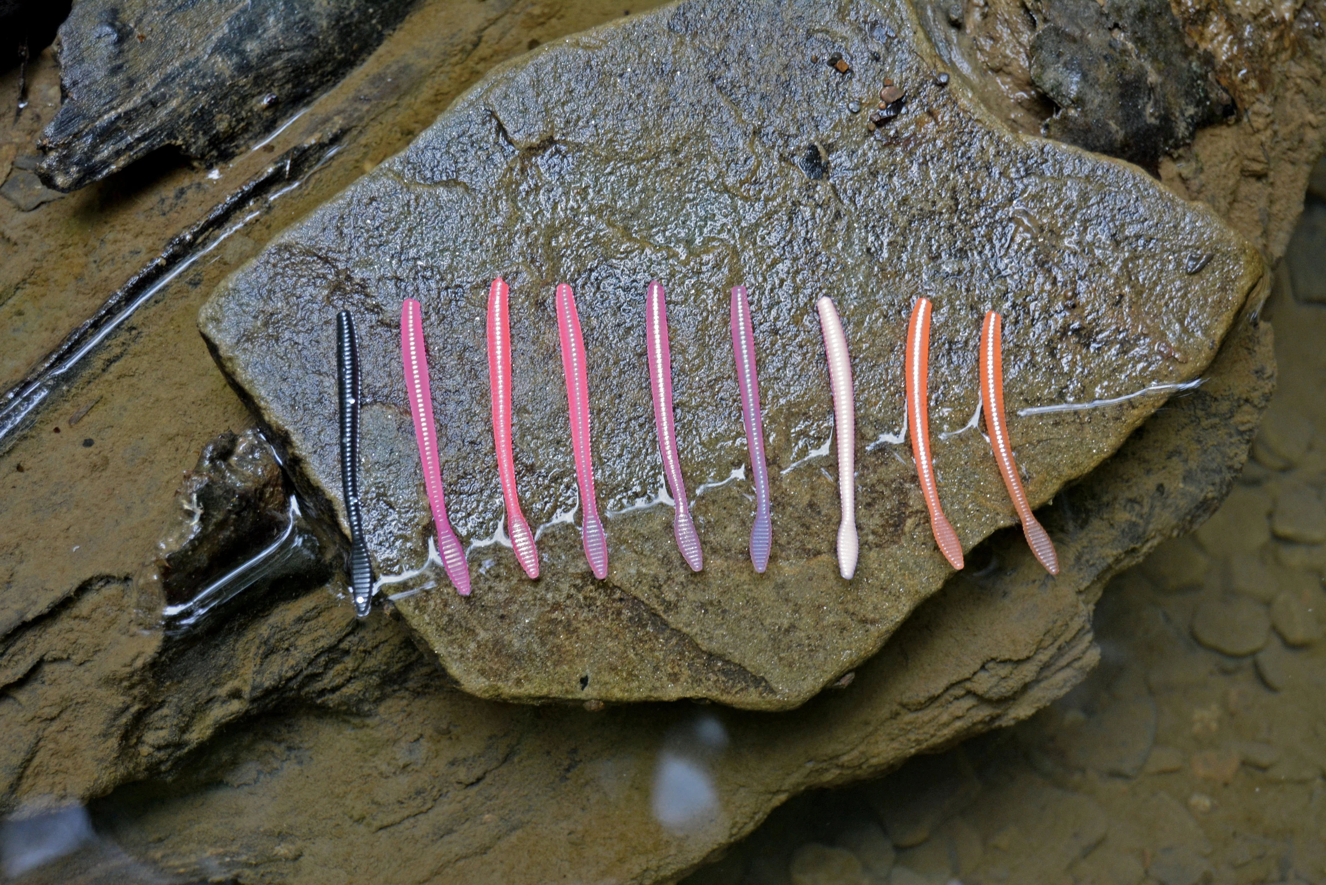 Nailpolish Pink Addicted Micro Worm - Image 4