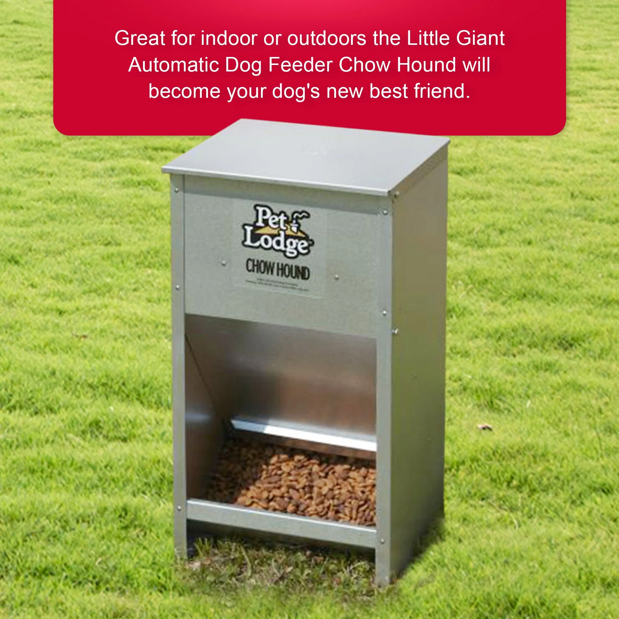 Pet Lodge Dry Food Automatic Steel Dog Feeder Chow Hound 25 Pound Capacity - Image 4