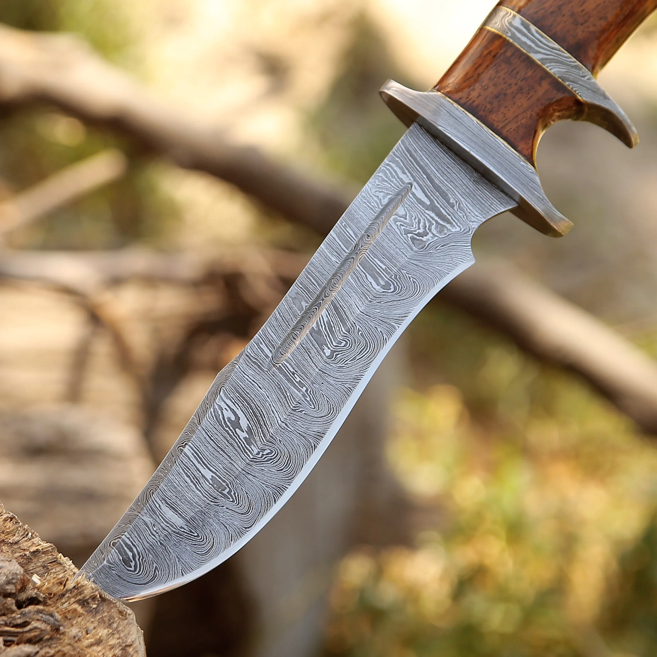 Raider Damascus Steel Bowie Knife with Exotic Rose Wood Handle & Sheath - Image 3