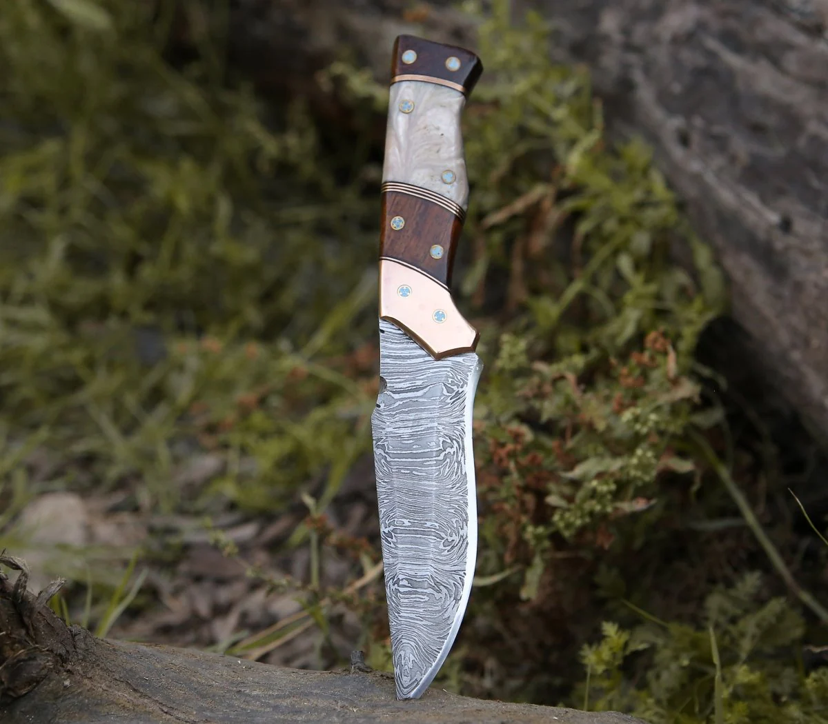 Reaper Damascus Hunting Knife with Mother of Pearl, Exotic Rose Wood and Copper Handle - Image 3