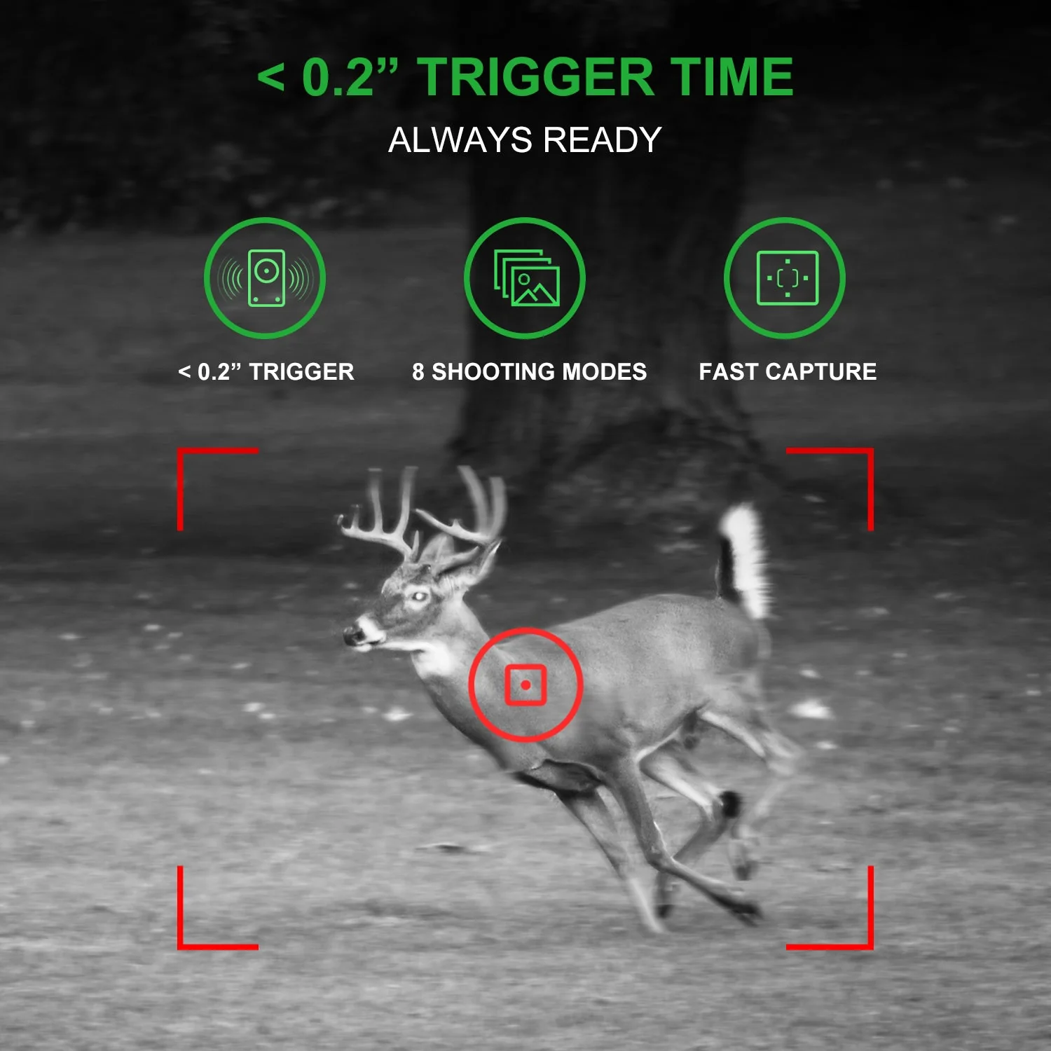 REXING H1 Blackhawk Night Vision Trail Camera Full HD 1920×1080 - Image 4