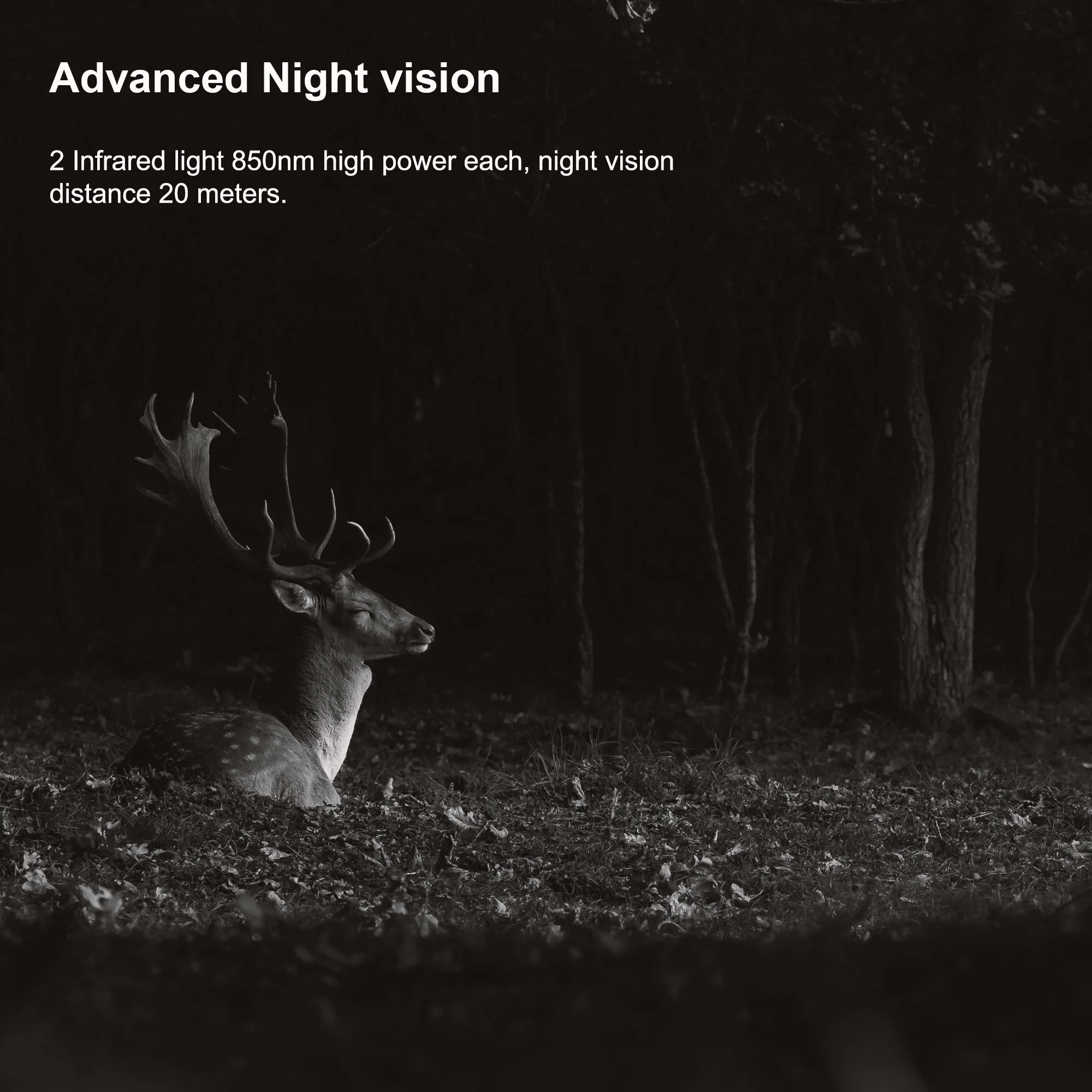 Rexing Woodlens H2 4K Wi-Fi Trail Camera (1 Pack) - Image 4