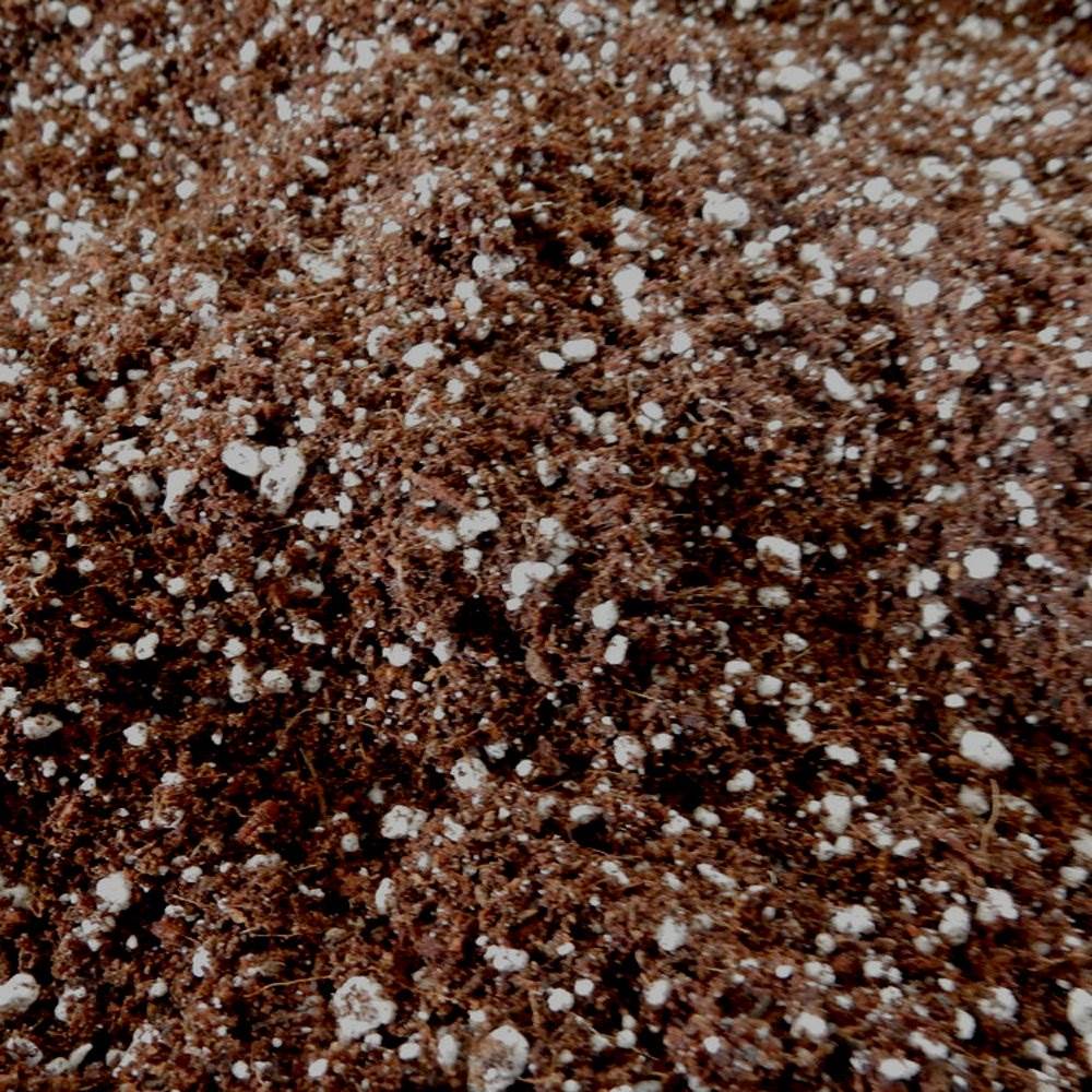 Roots Organics ROS Hydroponic Soilless Gardening Coco Fiber Media Mix, 1.5 cu ft - Image 5