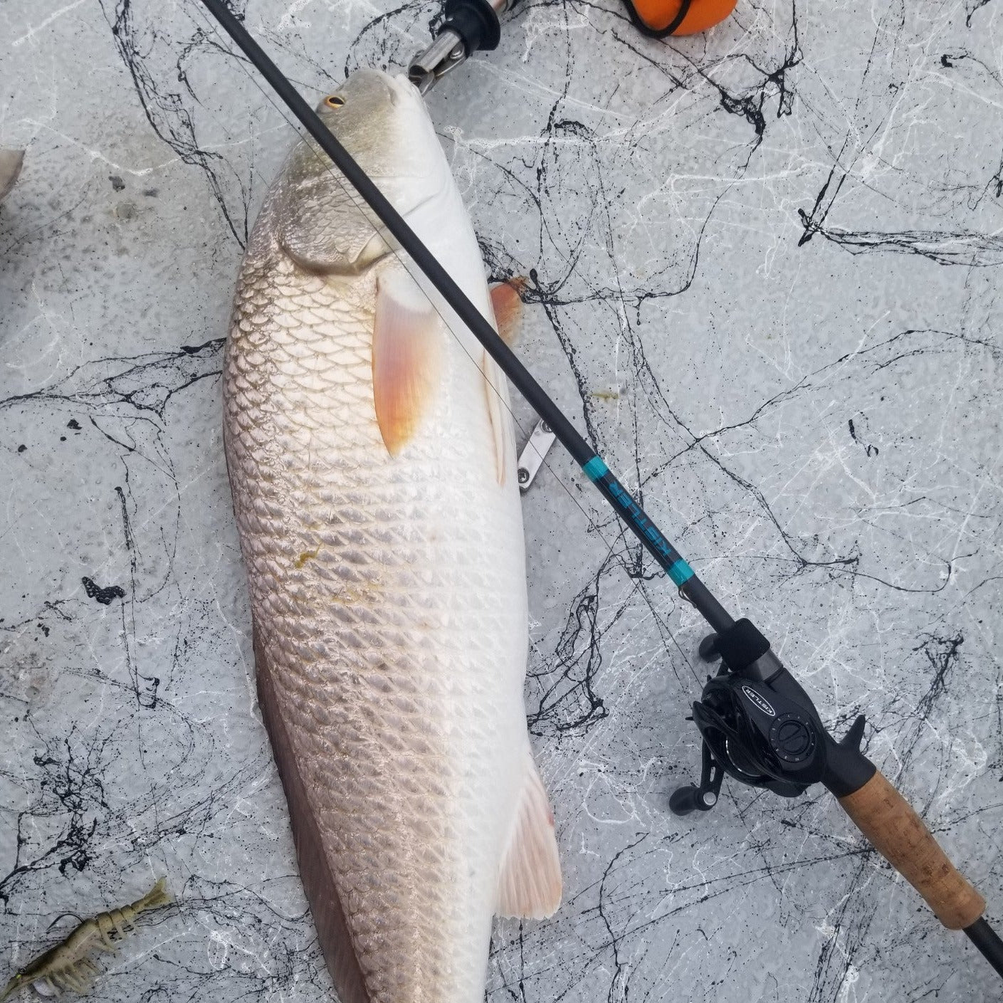 Salt Series Fishing Rods - Image 23