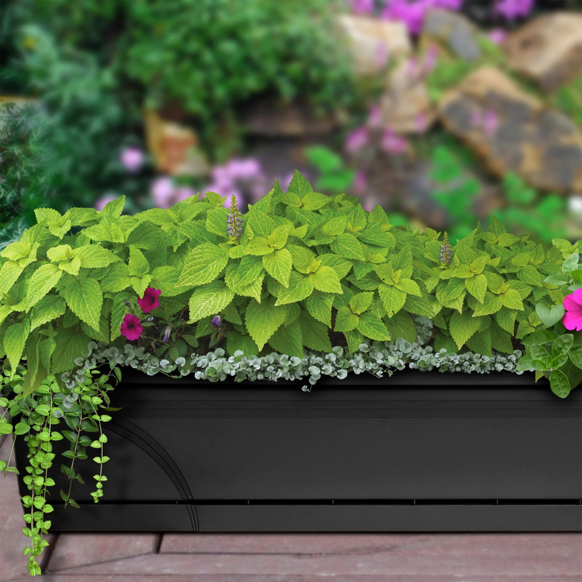 Southern Patio 36" Medallion Hanging Windowsill Garden Box Planter (3 Pack) - Image 5