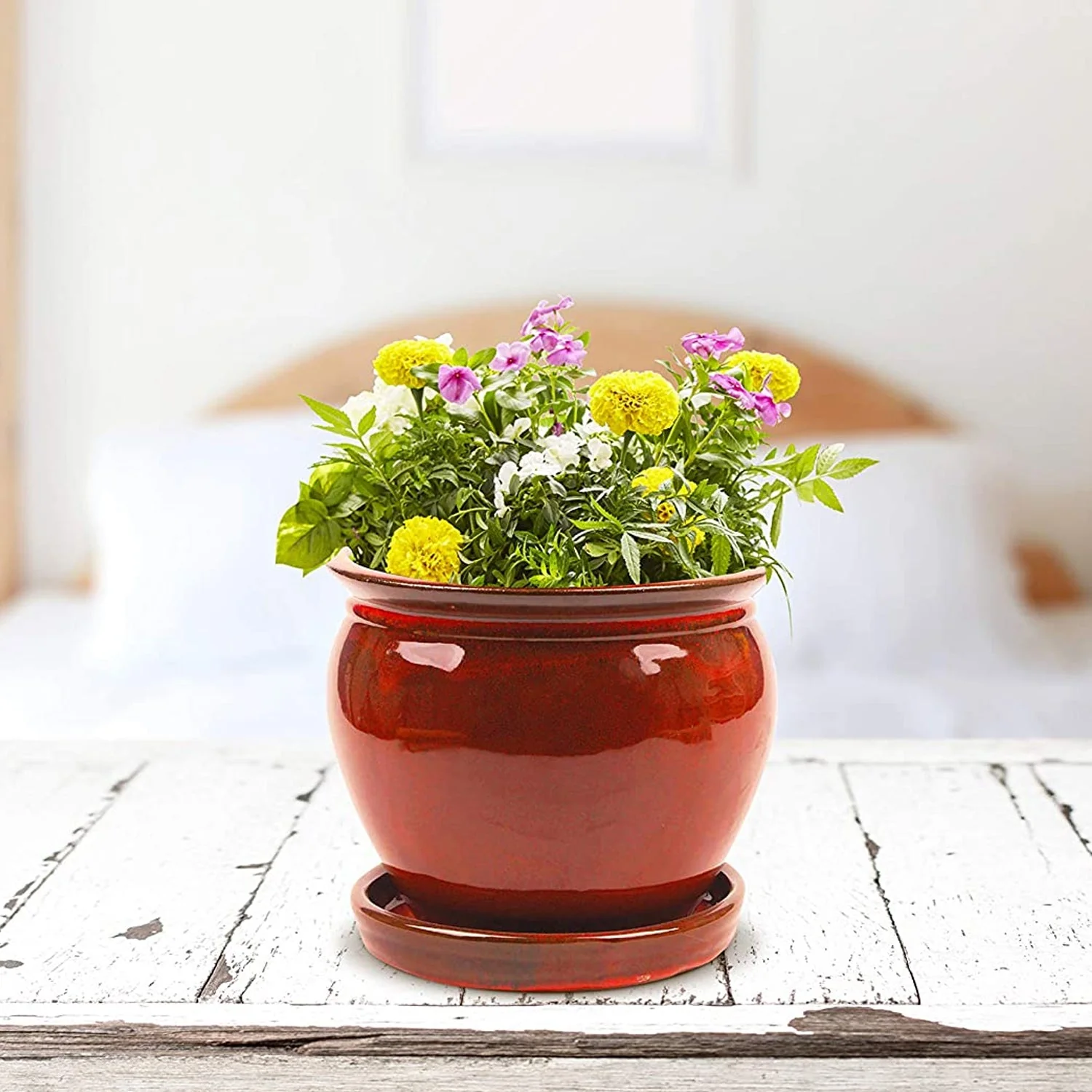 Southern Patio Wisteria 12 Inch Diameter Ceramic Planter Pot with Saucer, Red - Image 3