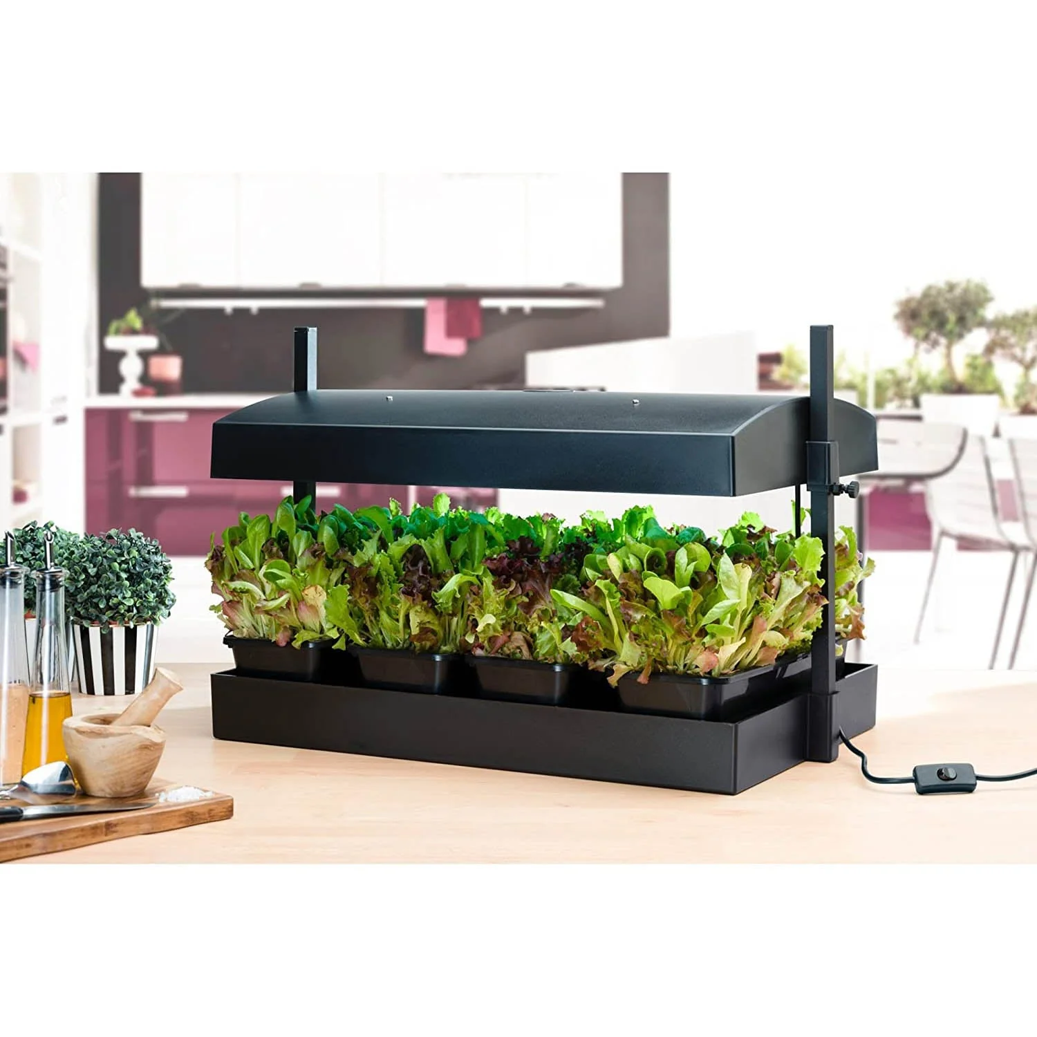 SunBlaster 1600200 T5HO Grow Light Garden with 2 Strip Lights & T5 Reflectors - Image 2