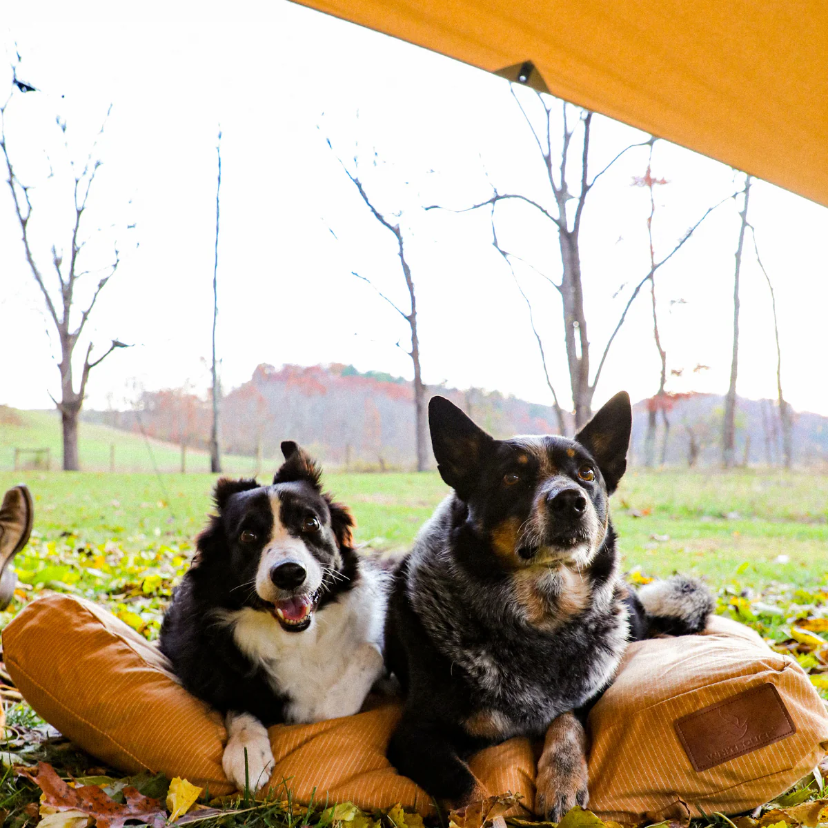 Sunshade Tarp 260 - Image 10