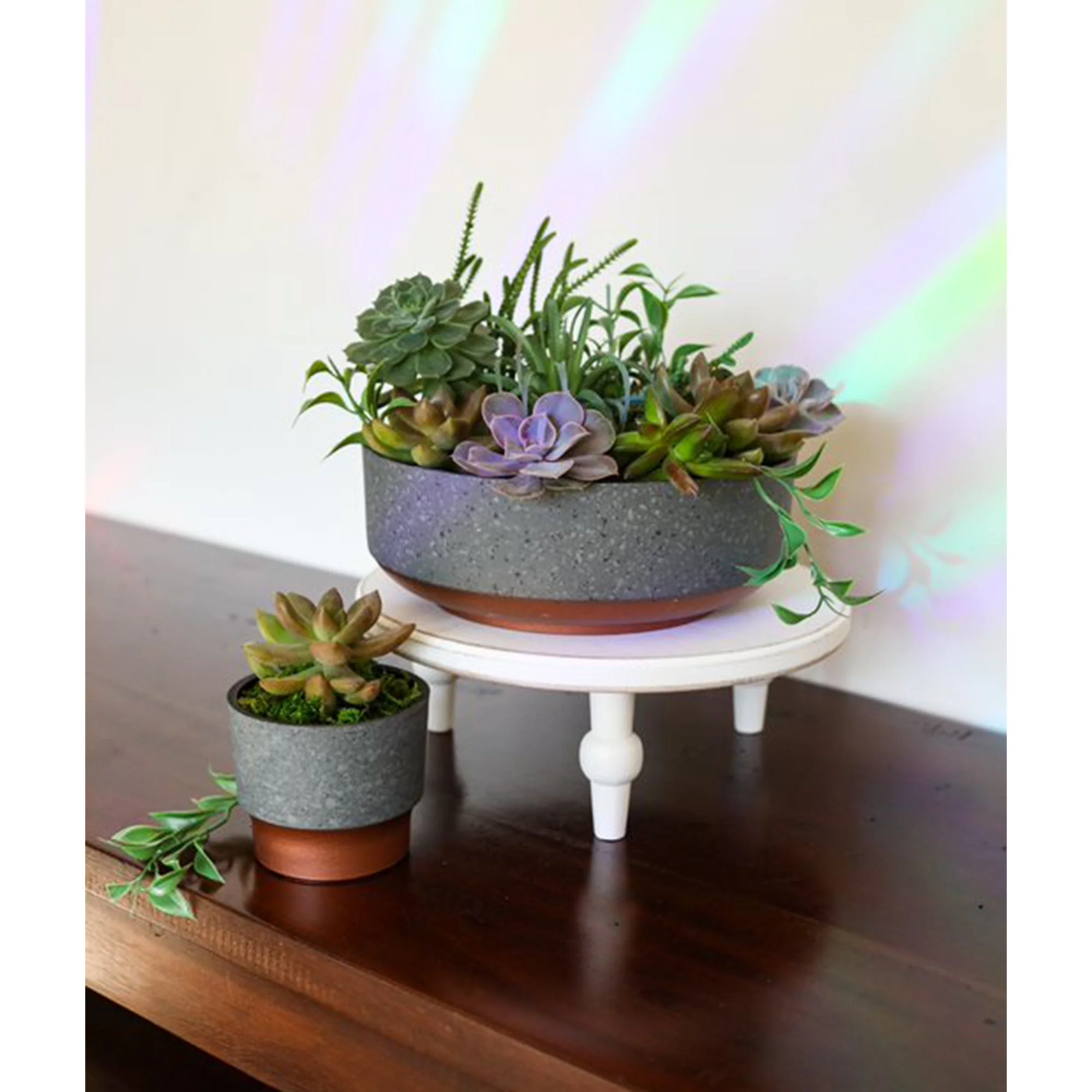 The HC Companies 8 In Capri Bowl Indoor Succulent Planter, Faux Concrete Copper - Image 5