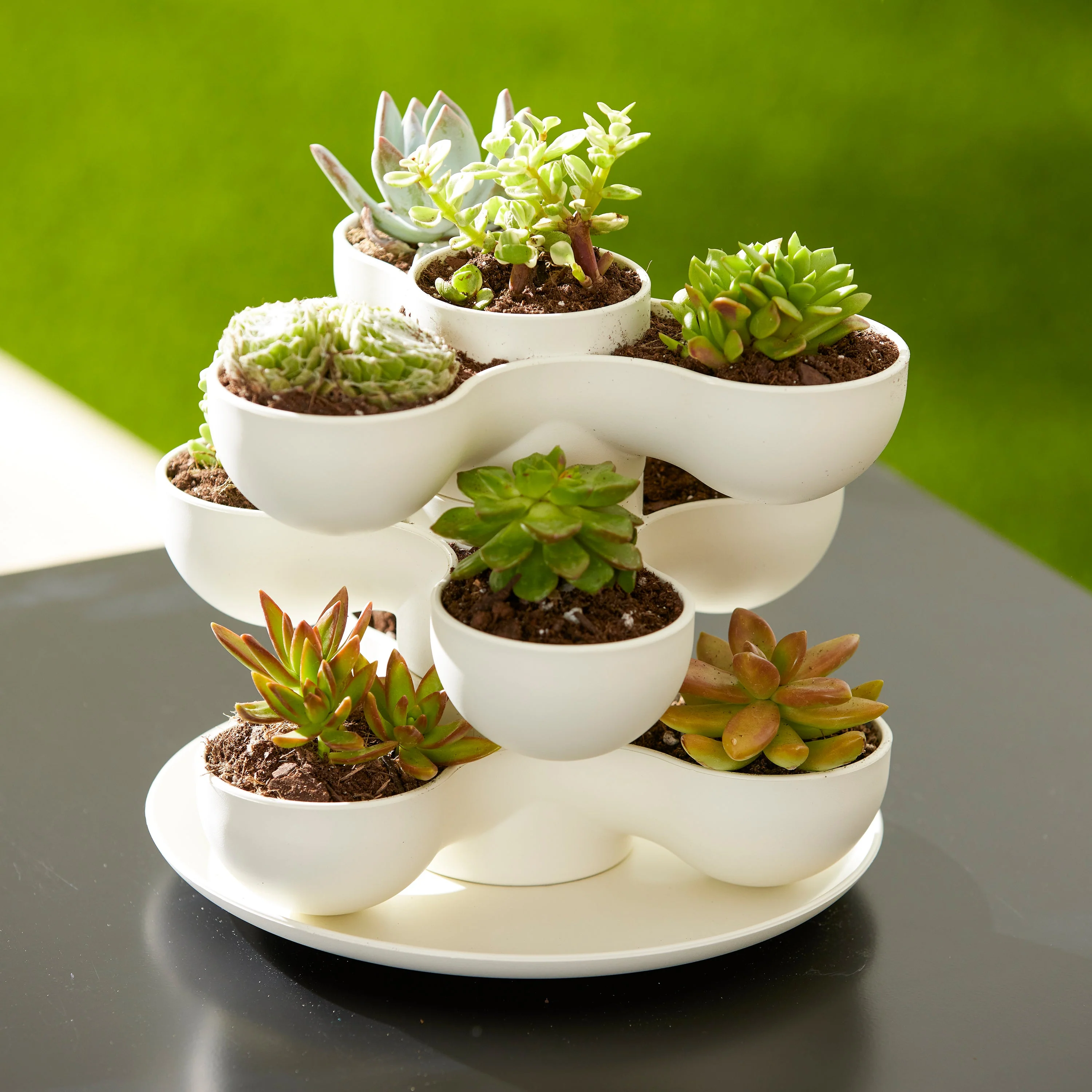 The HC Companies 8" Pixie Indoor Stacking Succulent Planter Pot, Vanilla Bisque - Image 10