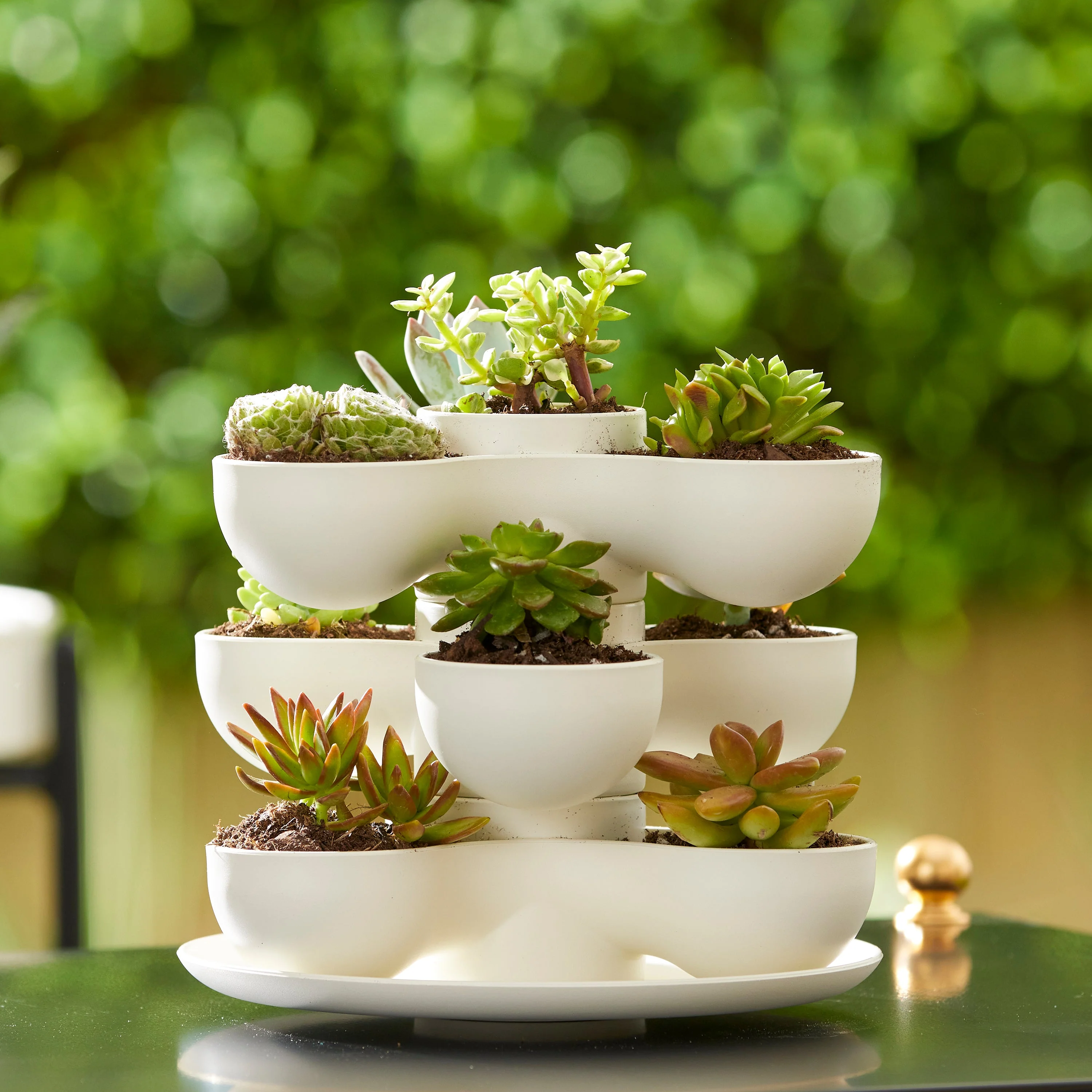 The HC Companies 8" Pixie Indoor Stacking Succulent Planter Pot, Vanilla Bisque - Image 9