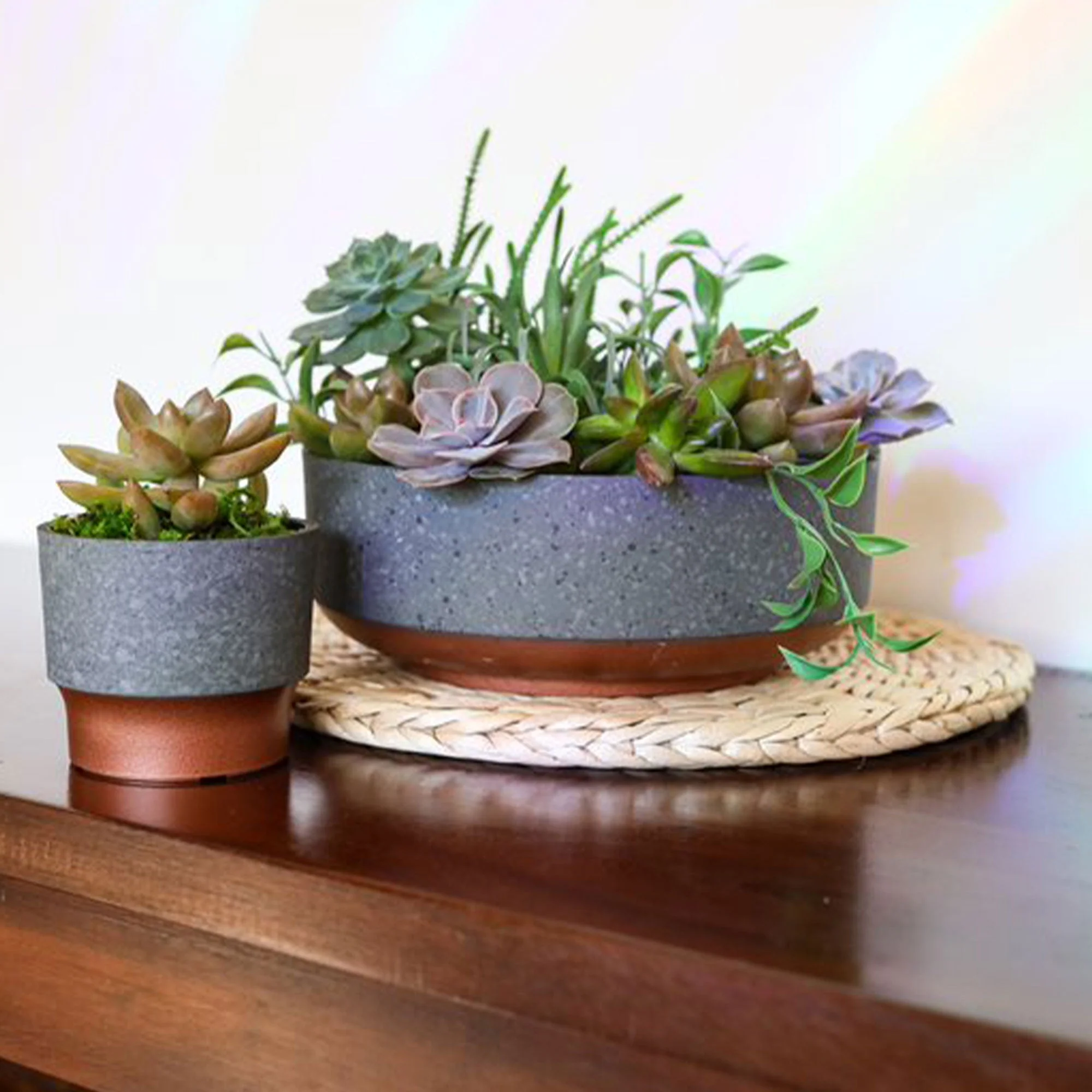 The HC Companies Capri Bowl Succulent Planter, Faux Concrete Copper (2 Pack) - Image 7