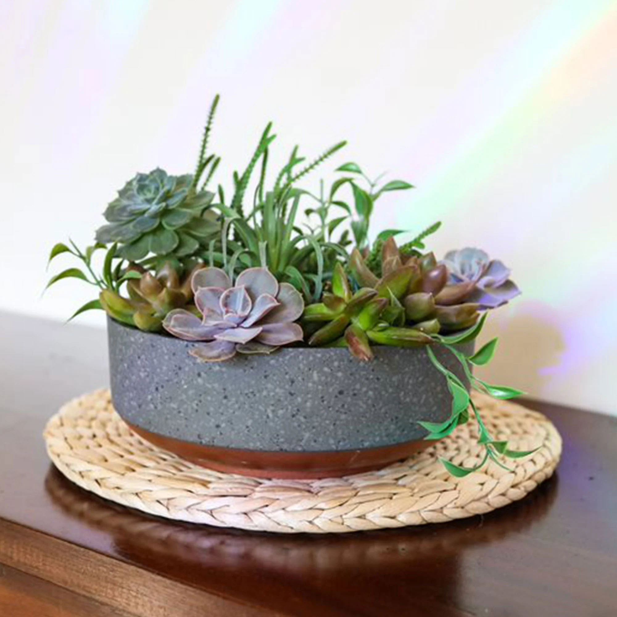The HC Companies Capri Bowl Succulent Planter, Faux Concrete Copper (5 Pack) - Image 3