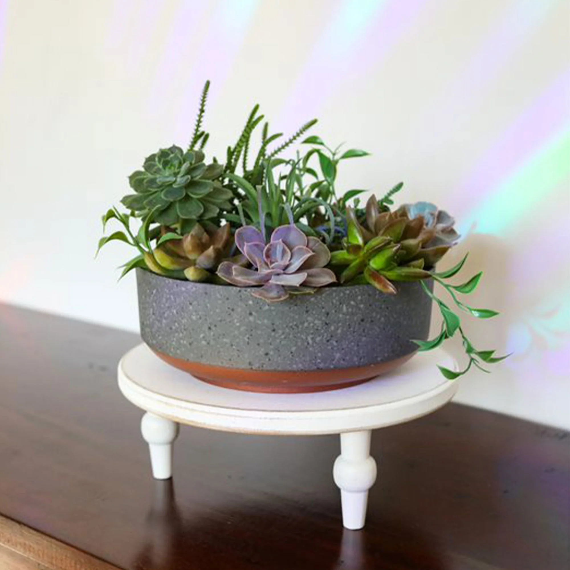 The HC Companies Capri Bowl Succulent Planter, Faux Concrete Copper (5 Pack) - Image 4