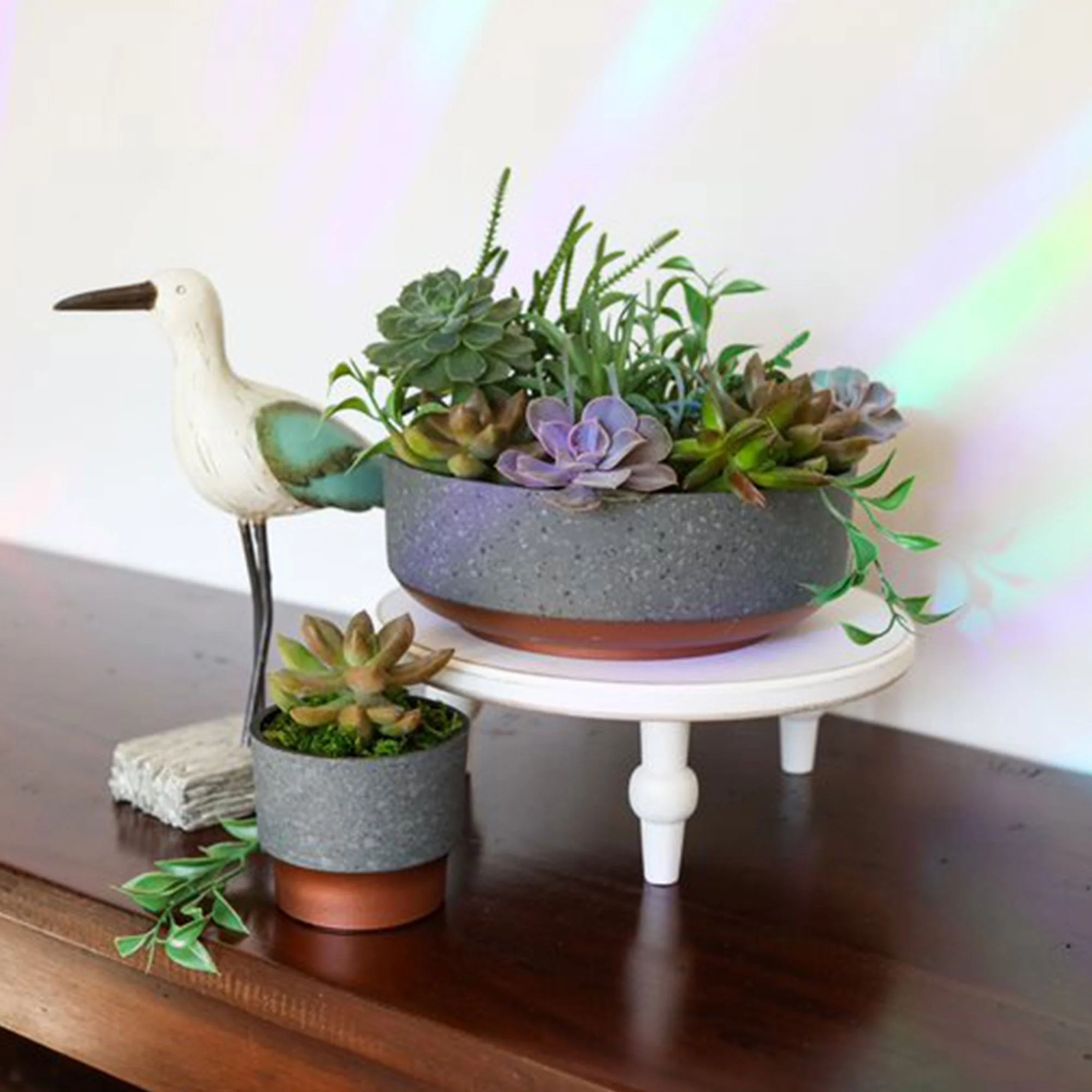 The HC Companies Capri Bowl Succulent Planter, Faux Concrete Copper (5 Pack) - Image 6