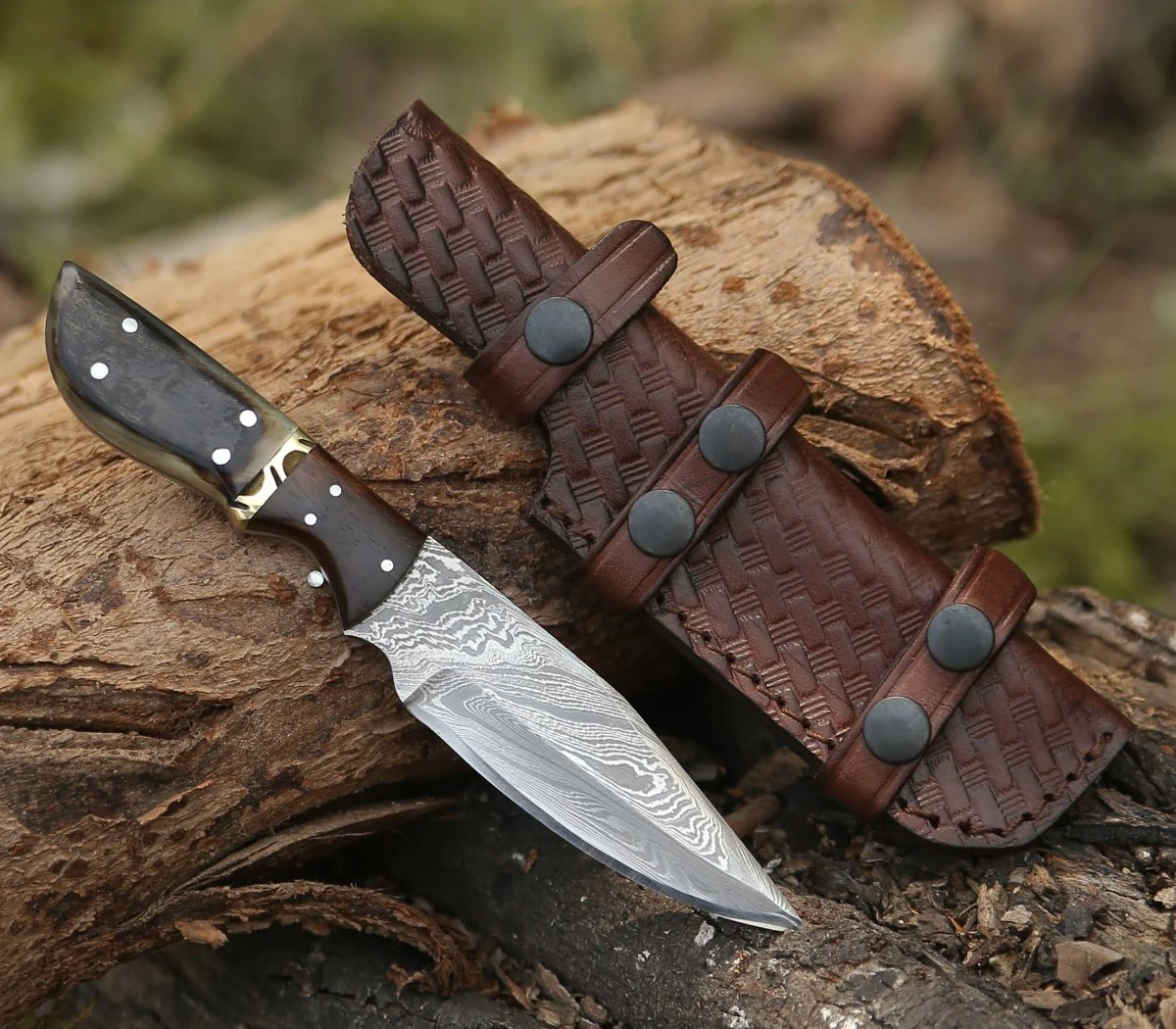 Trailseeker EDC Knife – Ram Horn & Rosewood Handle - Image 4