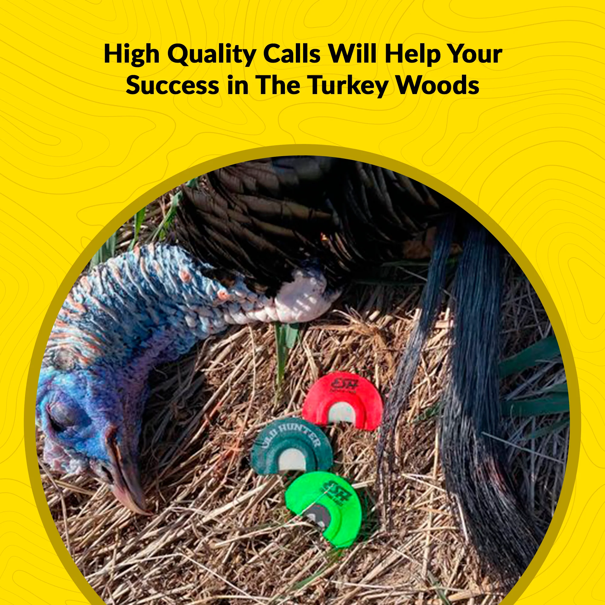 TRUE TWO - No Cut - Beginner Mouth Call - Image 4
