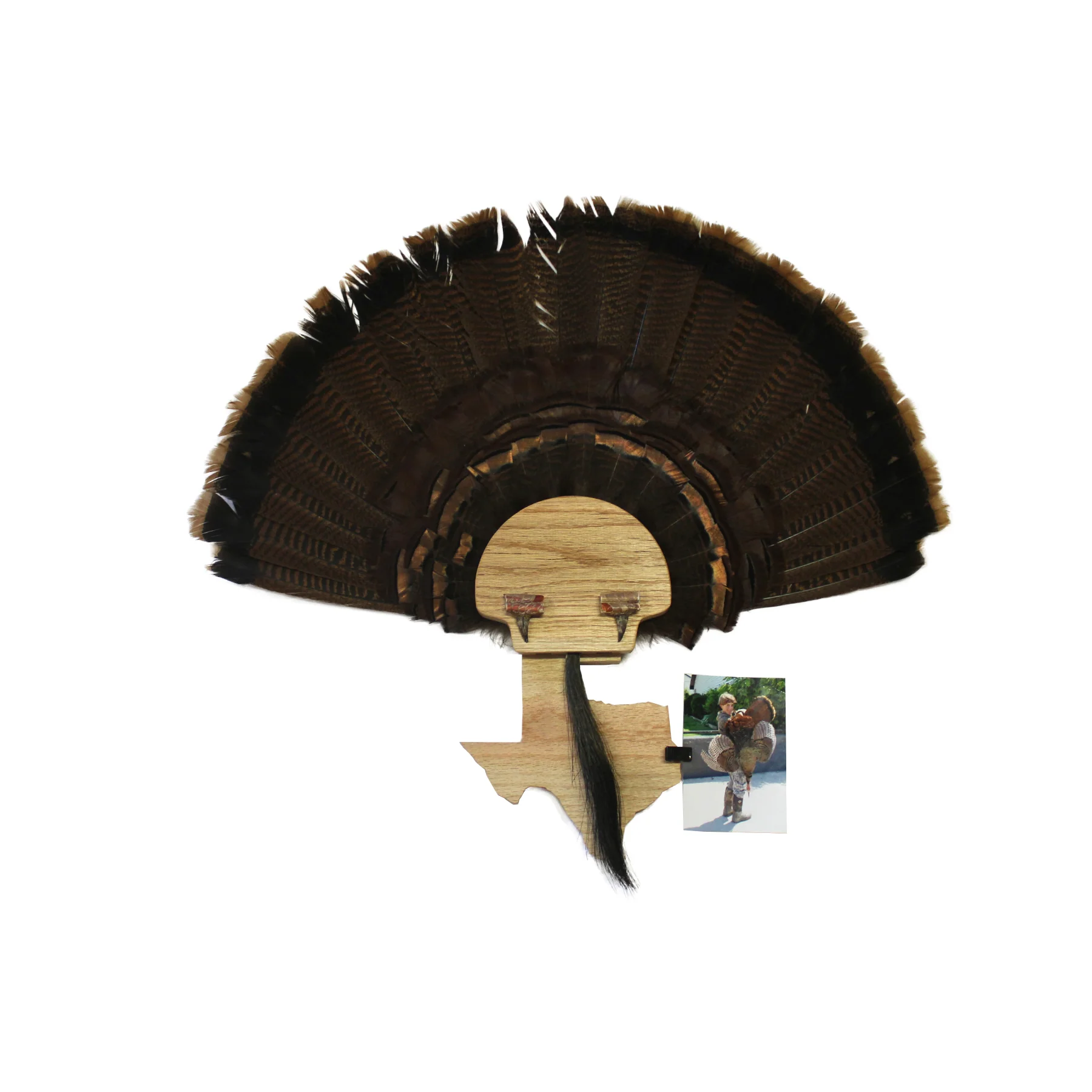 Turkey Mount Plaques with State - Image 12